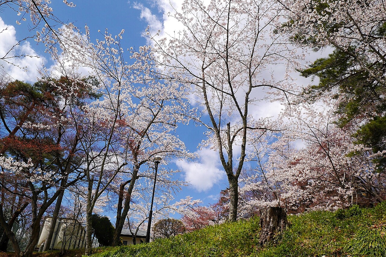 福島市自助遊攻略