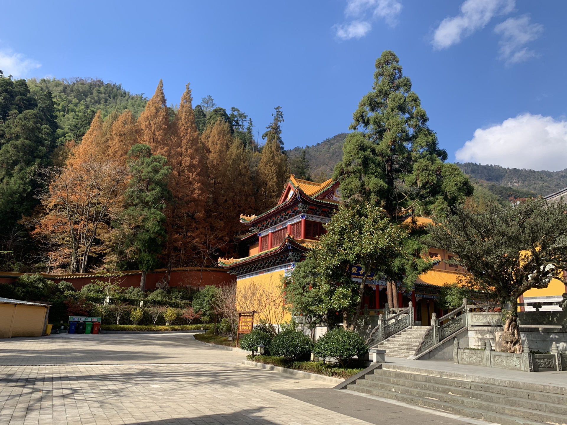 臨安西天目山上海出發自駕遊一日遊徒步爬山