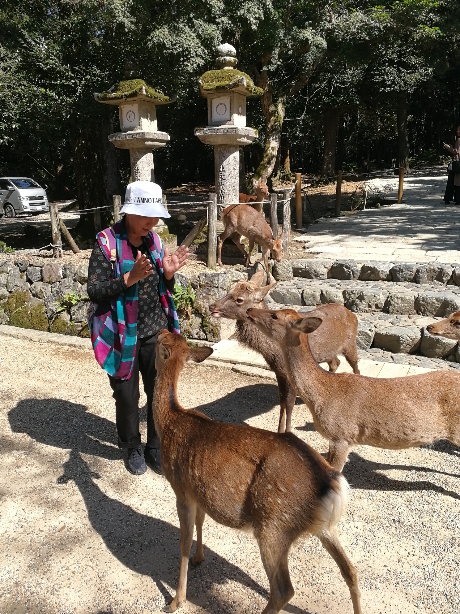 京都自助遊攻略