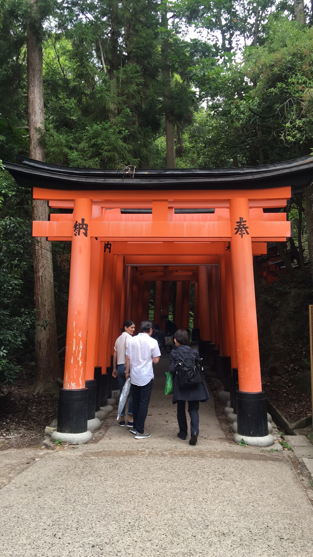紫陽花開之際 古寺與自然與都市與海濱與溫泉的日本關西之旅 Go Travel