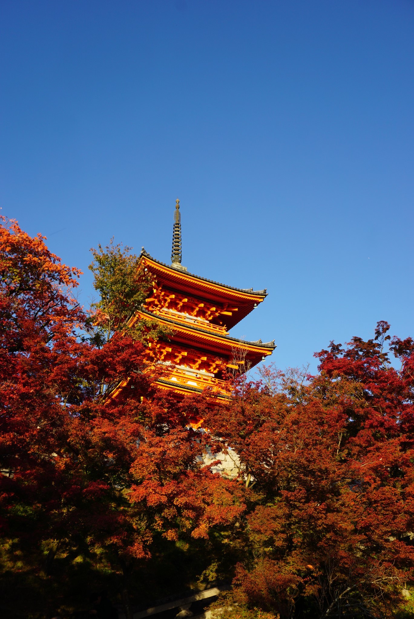 京都自助遊攻略