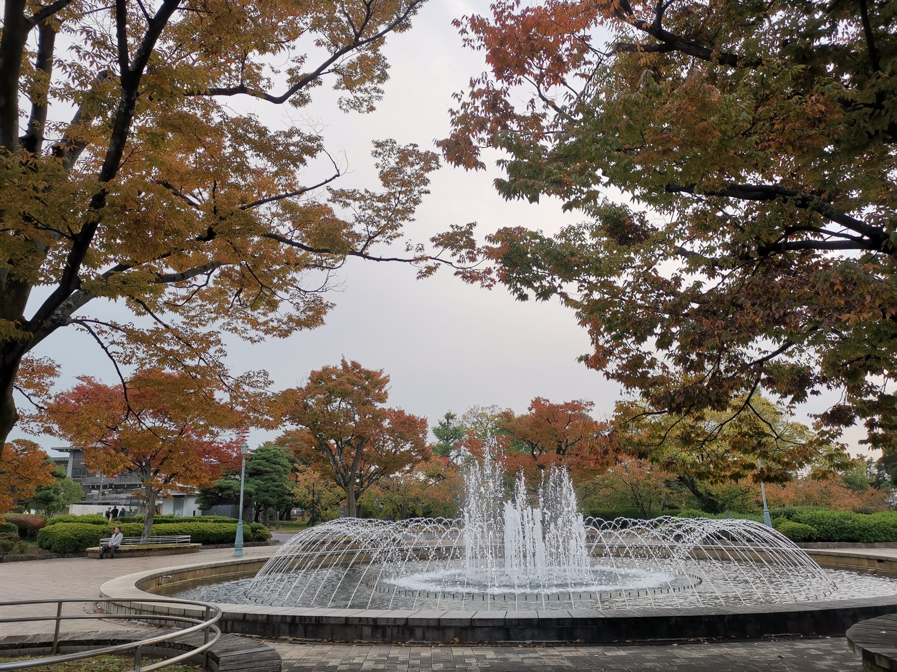 京都自助遊攻略