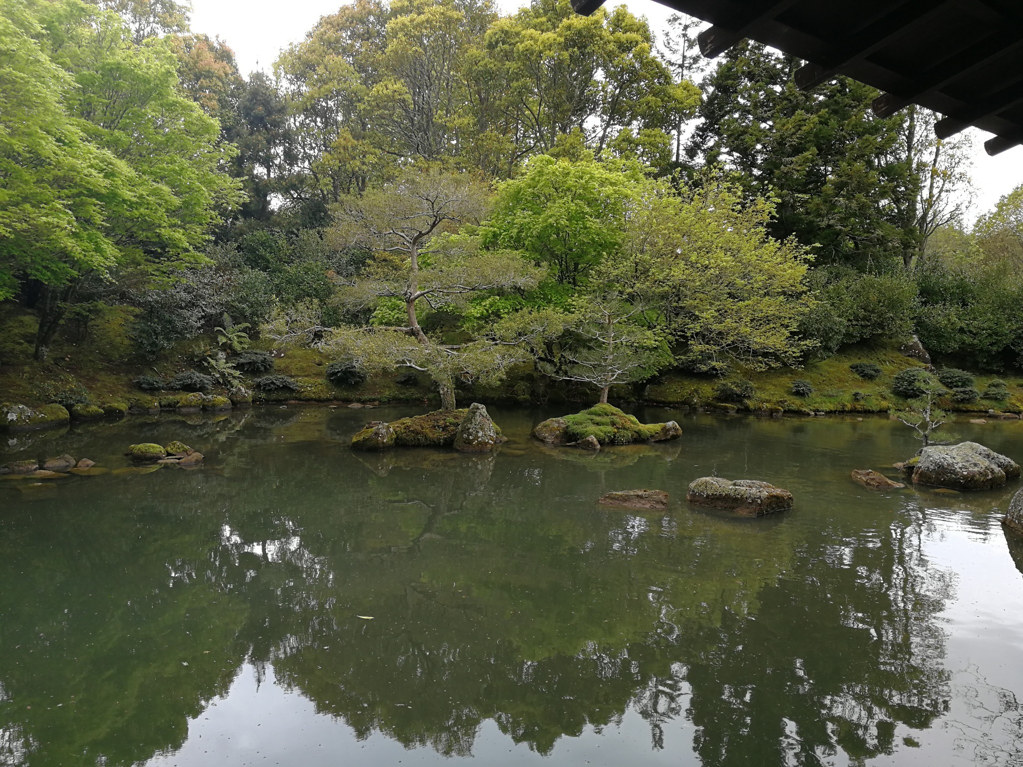 新西蘭自助遊攻略