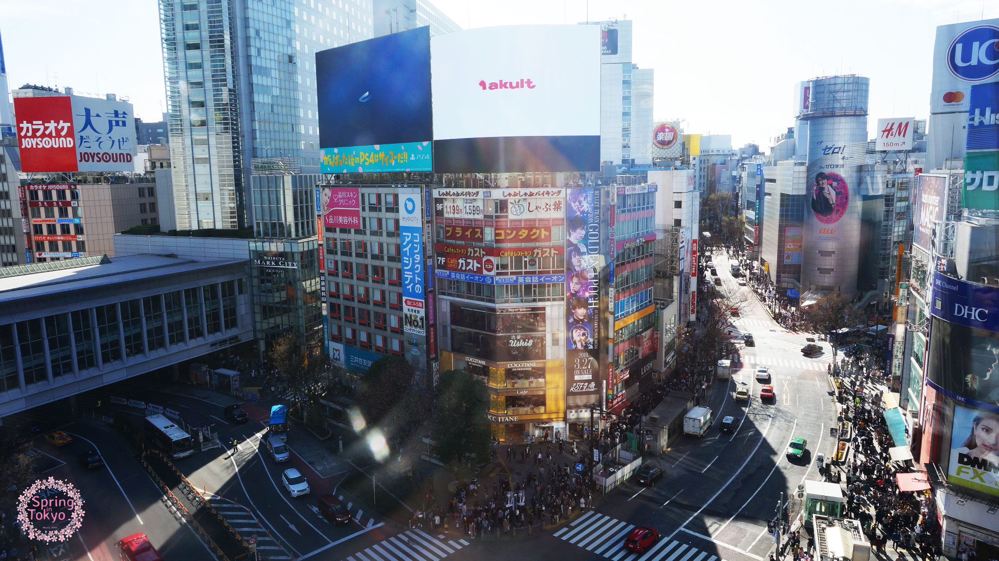 東京自助遊攻略