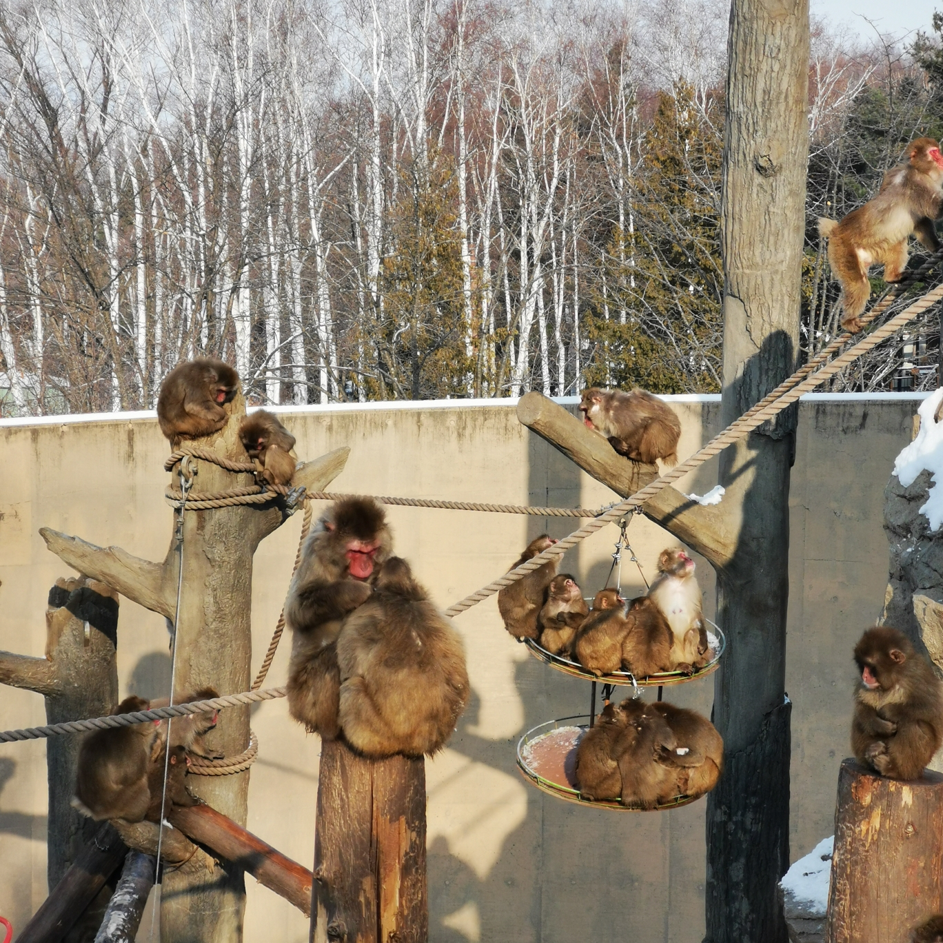 札幌自助遊攻略