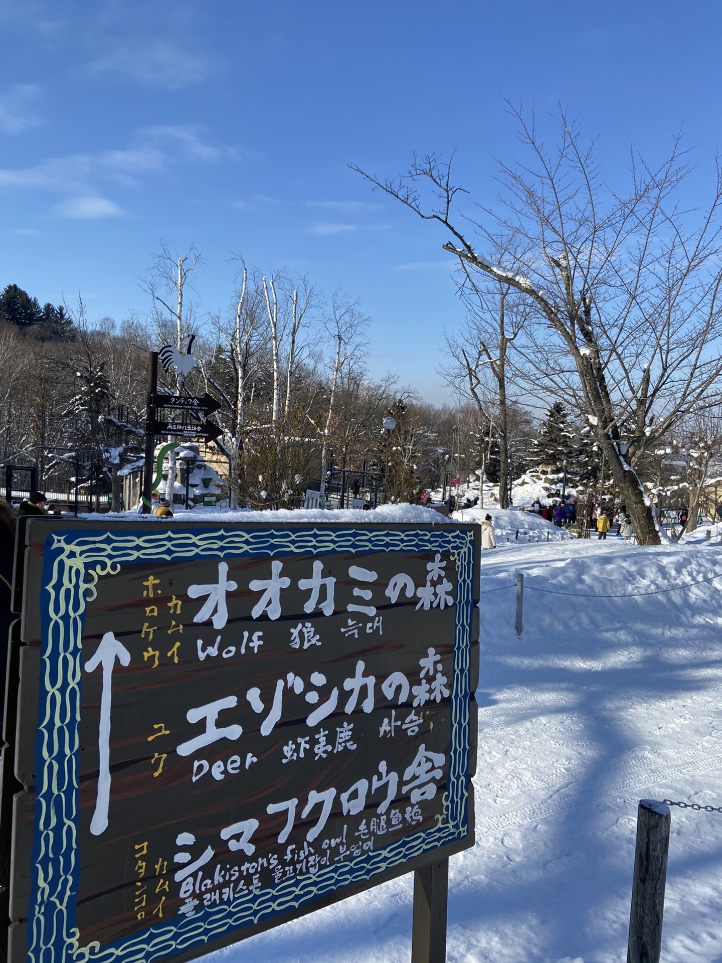 北海道自助遊攻略