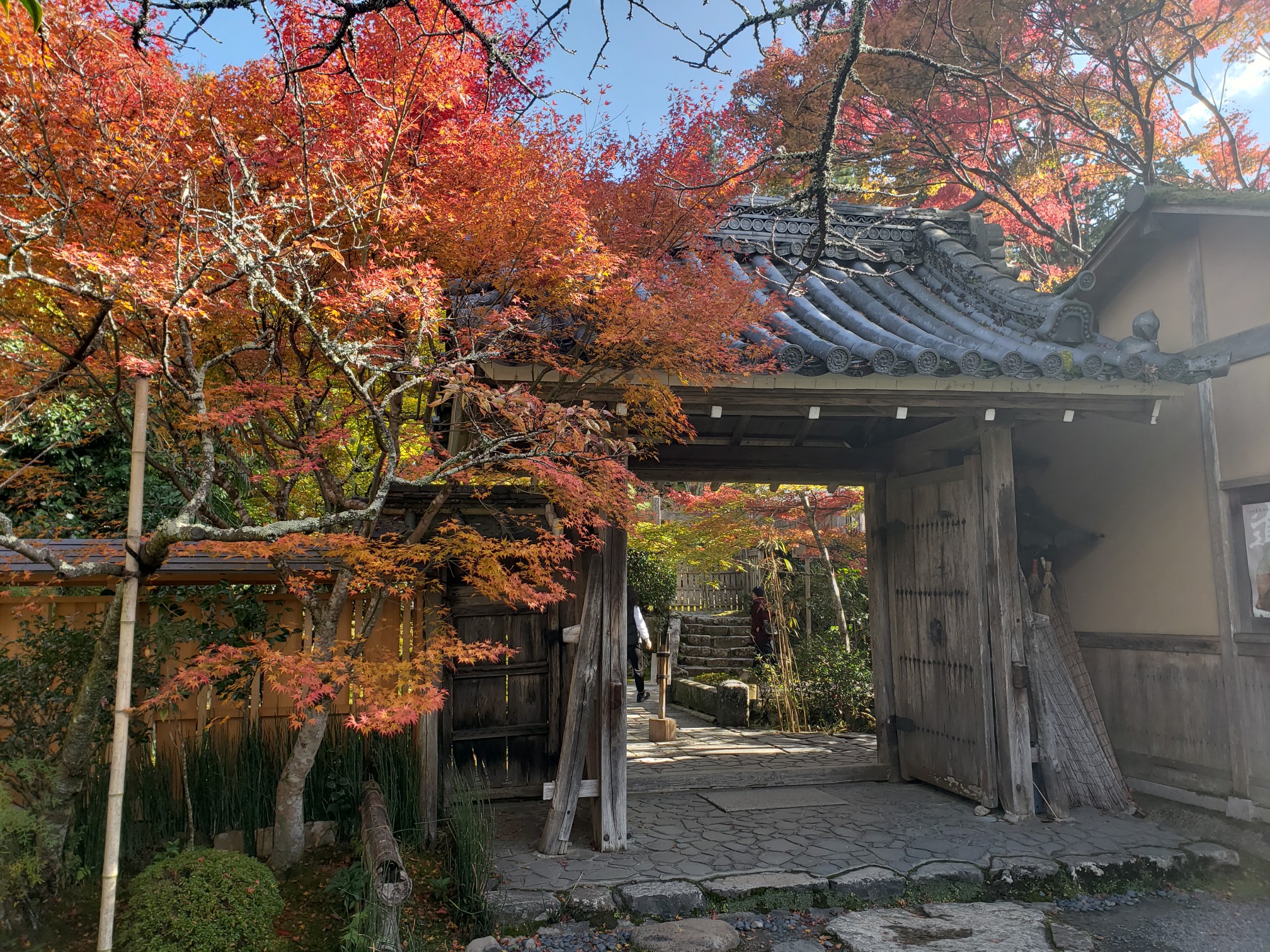 京都自助遊攻略