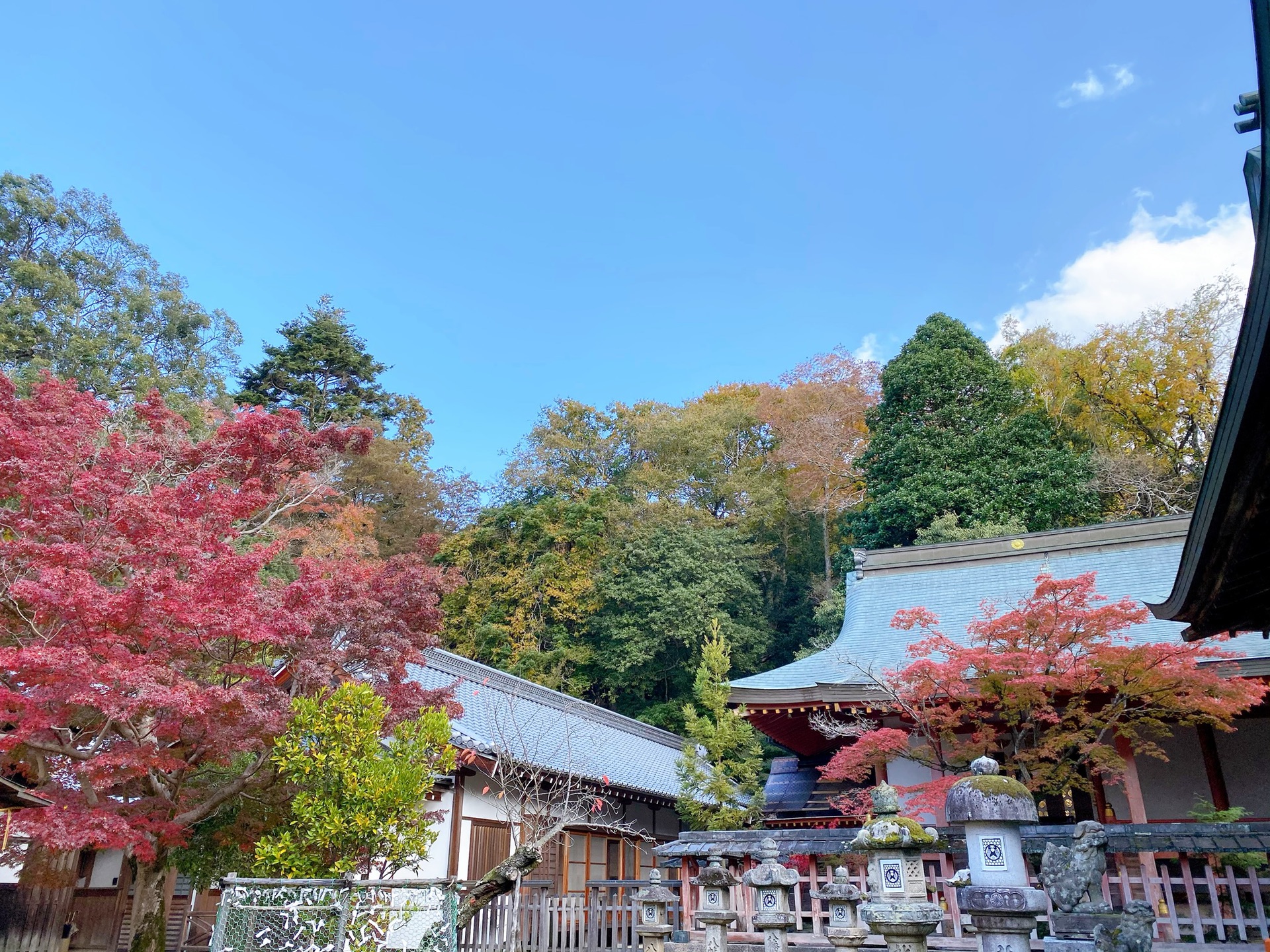 京都自助遊攻略