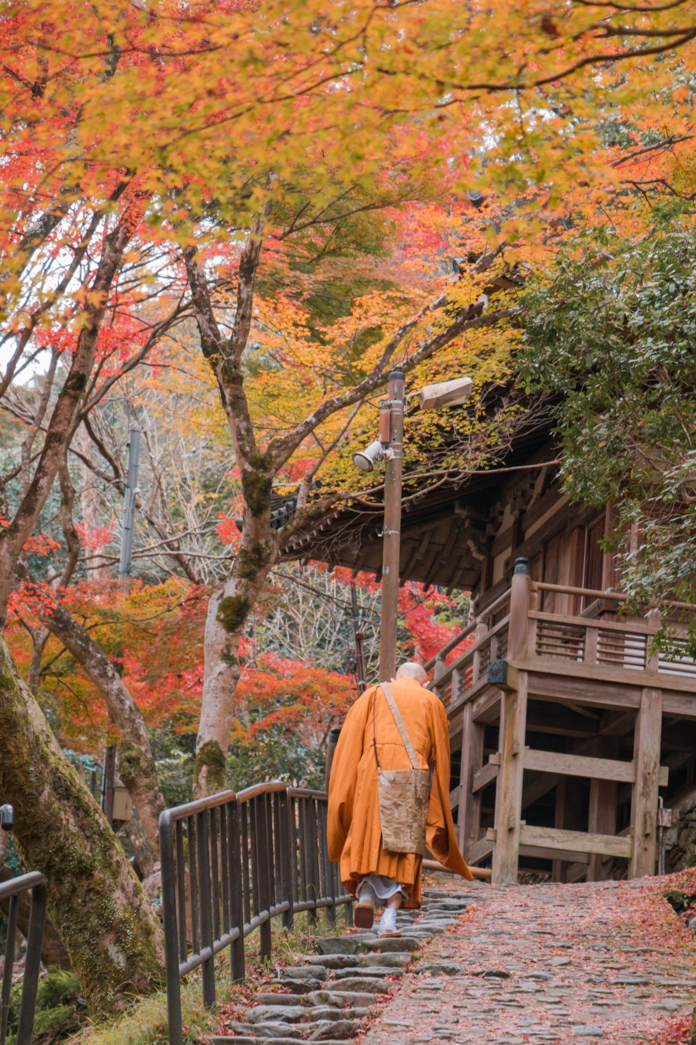 京都自助遊攻略