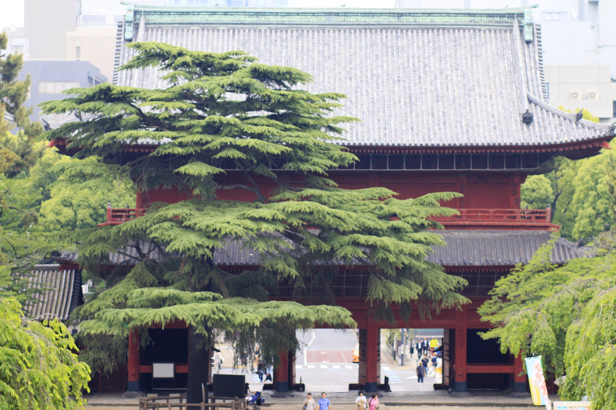 東京自助遊攻略