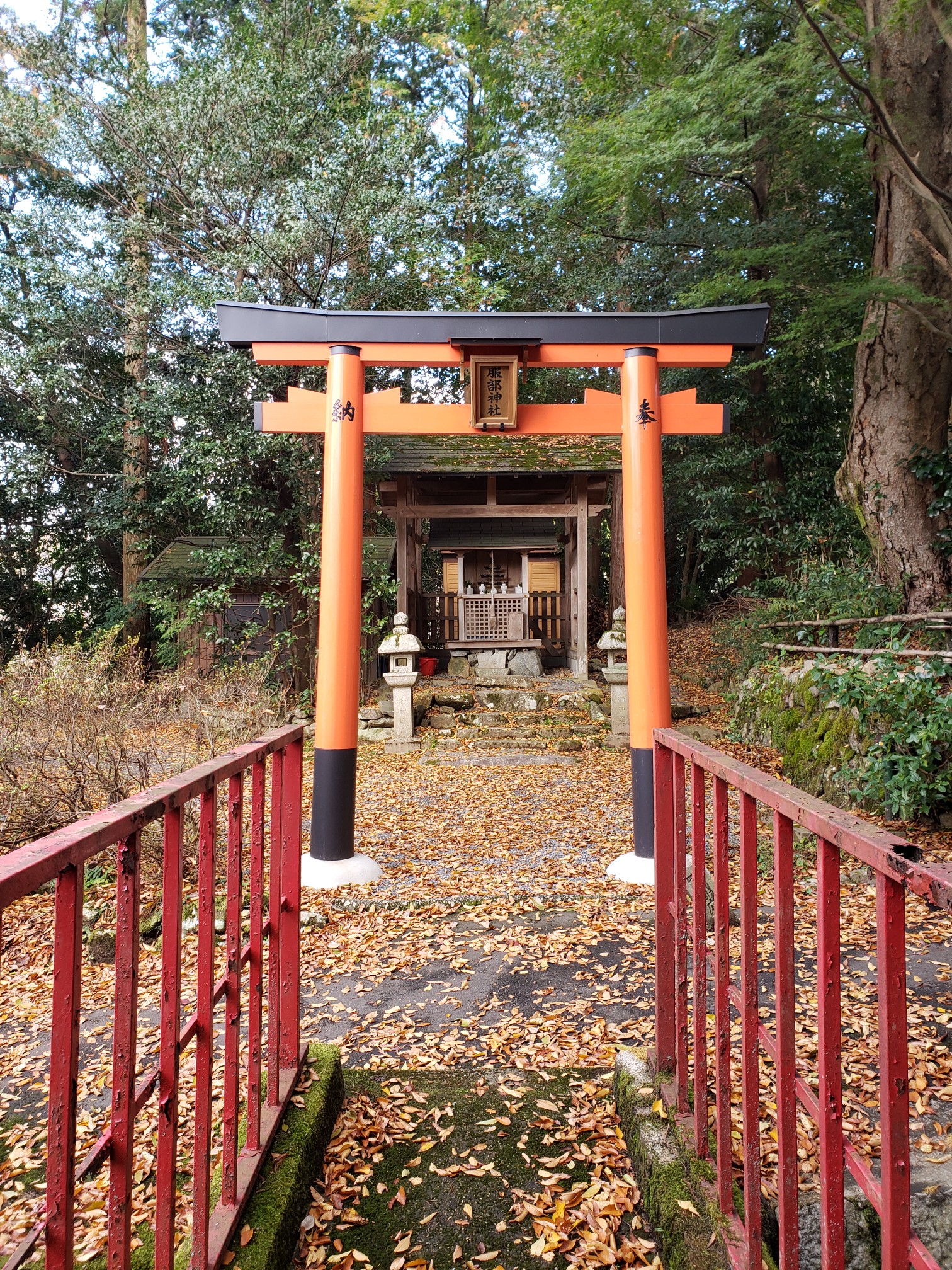 京都自助遊攻略