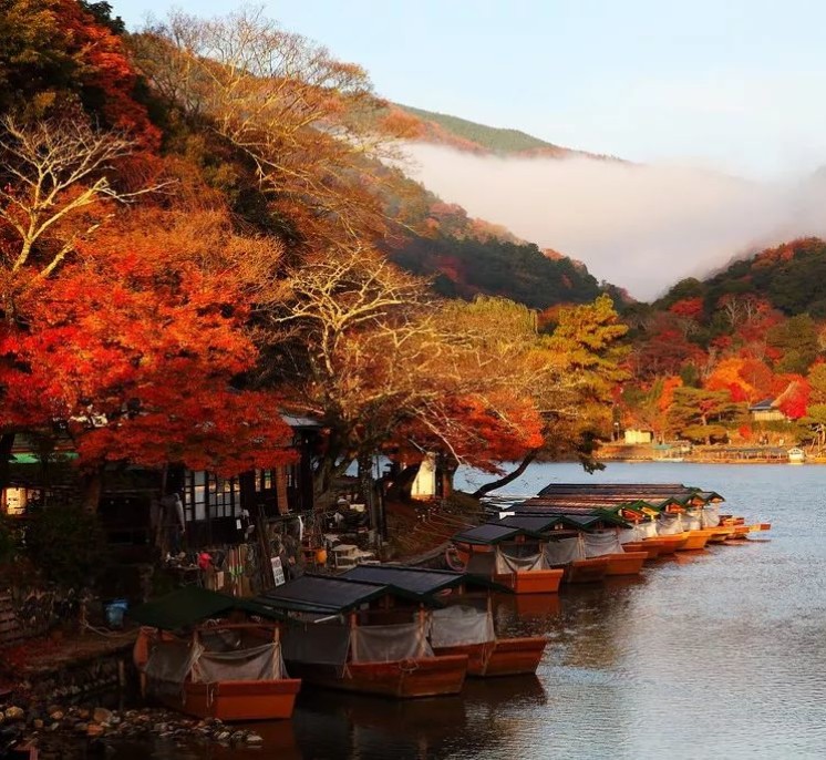 冬天京都最佳打开方式 19岚山花灯路 这些玩法惊艳你 手机马蜂窝