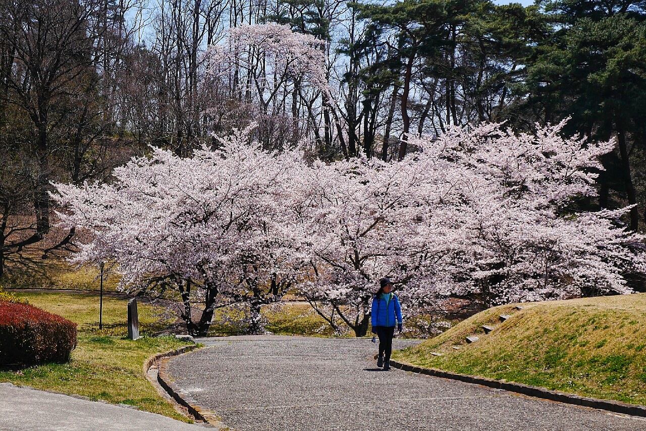 福島市自助遊攻略