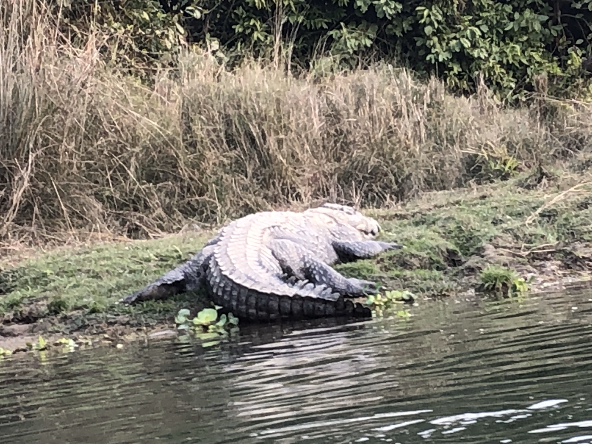 尼泊爾自助遊攻略