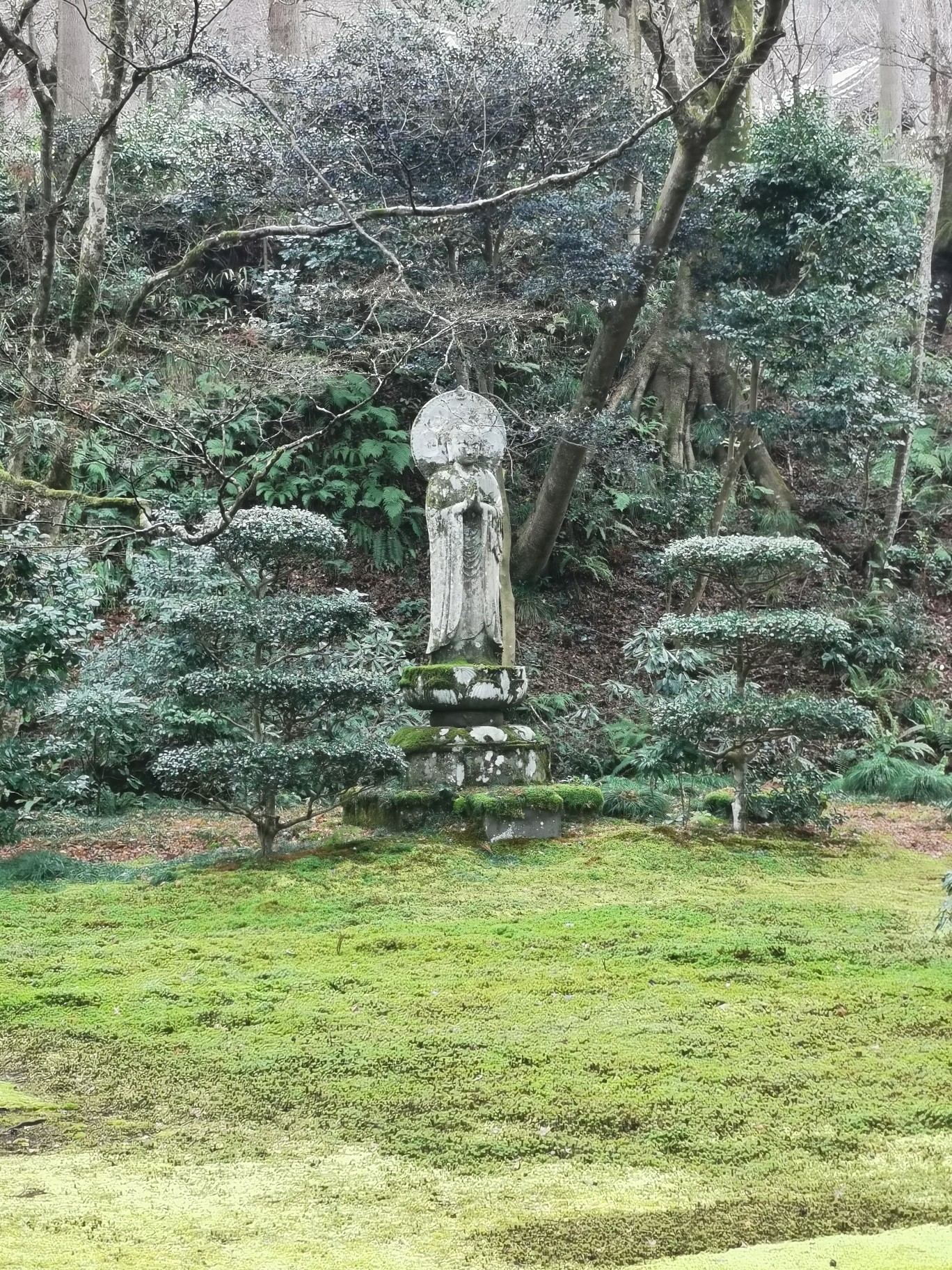 京都自助遊攻略