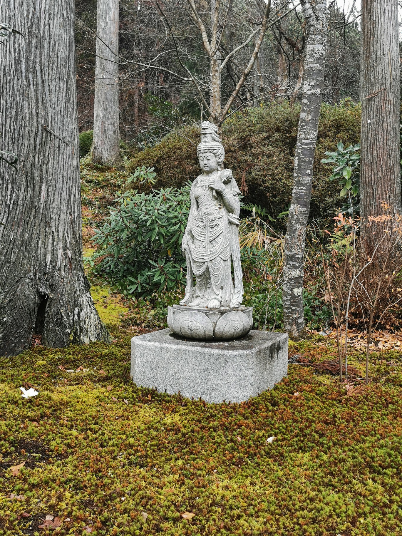 京都自助遊攻略