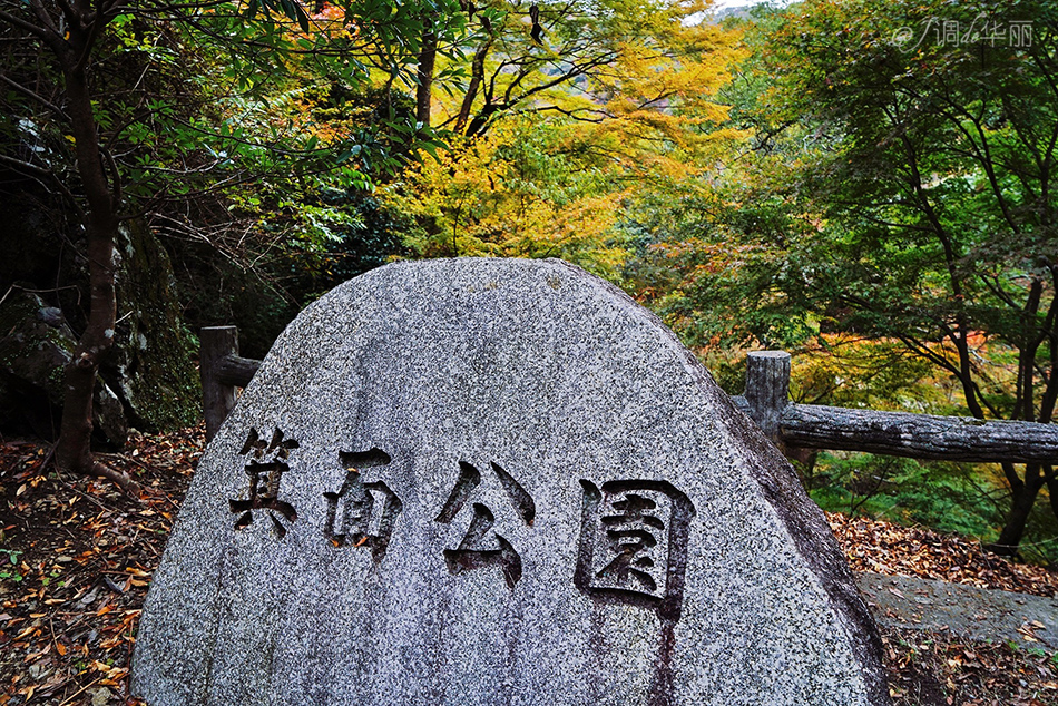 大阪自助遊攻略