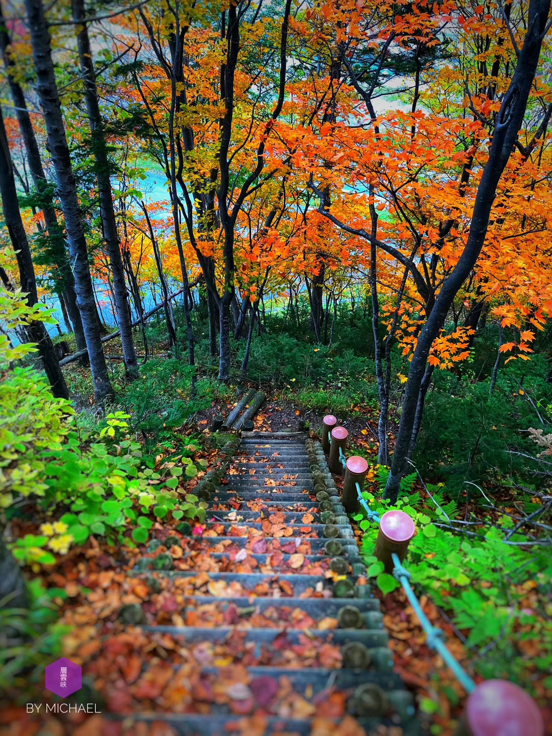 北海道自助遊攻略