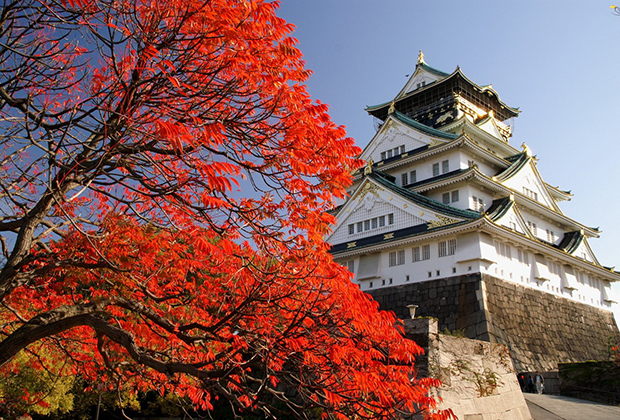 北陸地區關東地區北海道,東北地區2019年日本賞楓最佳時期--日本全國