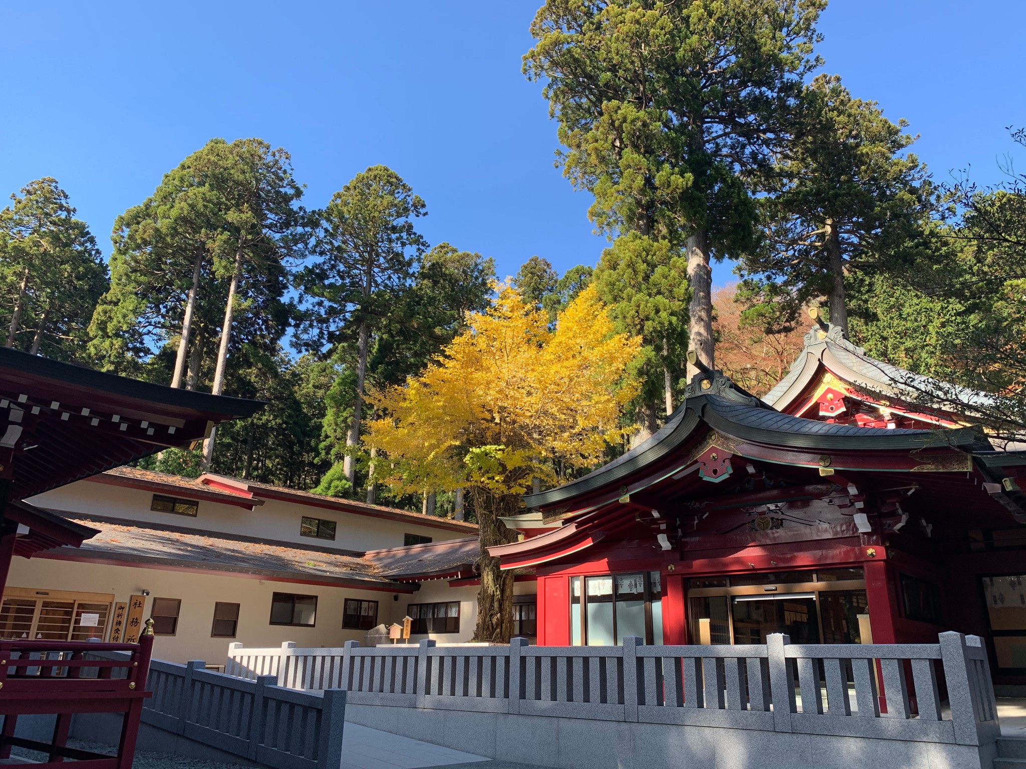 東京自助遊攻略