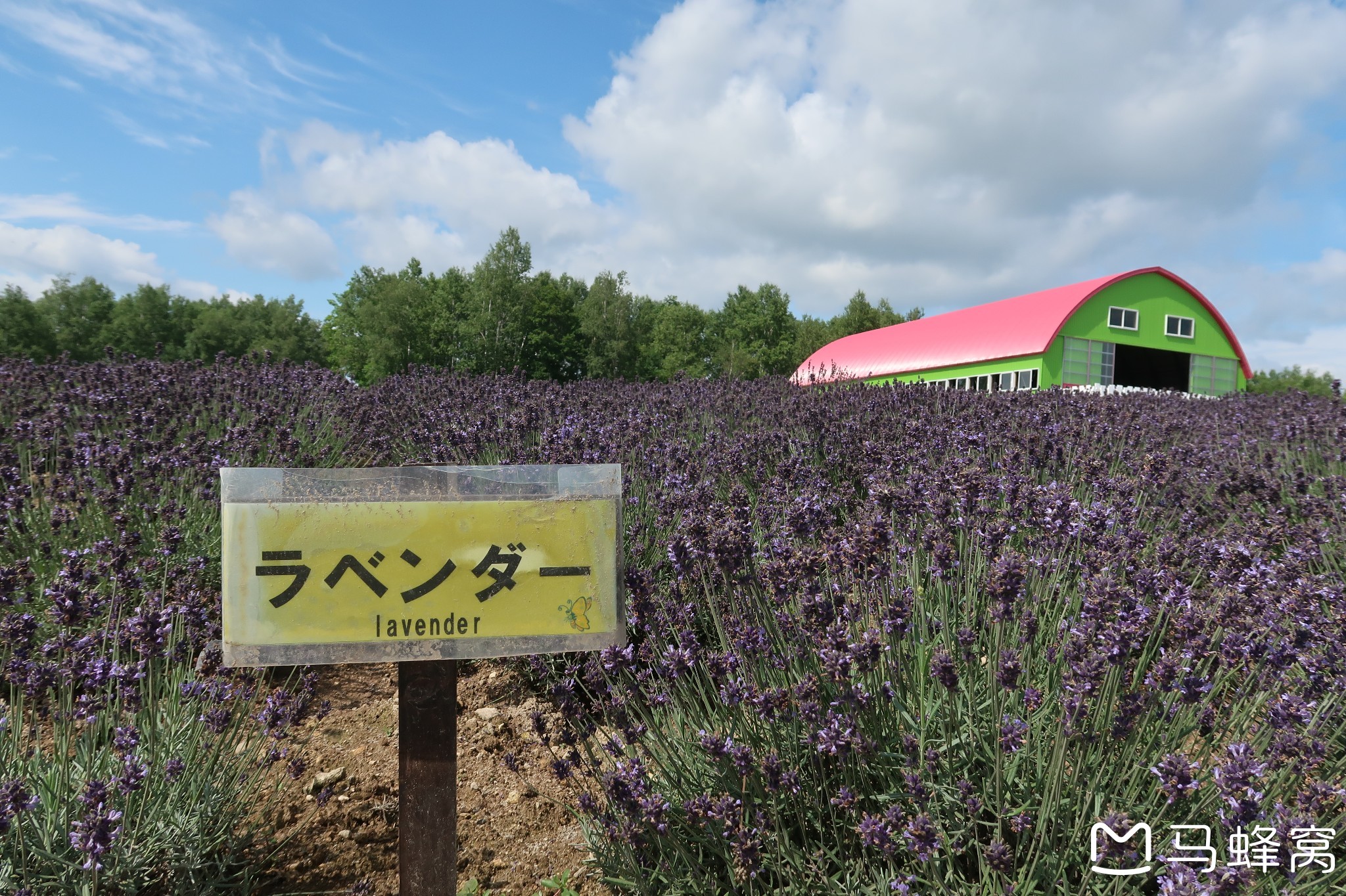 北海道自助遊攻略