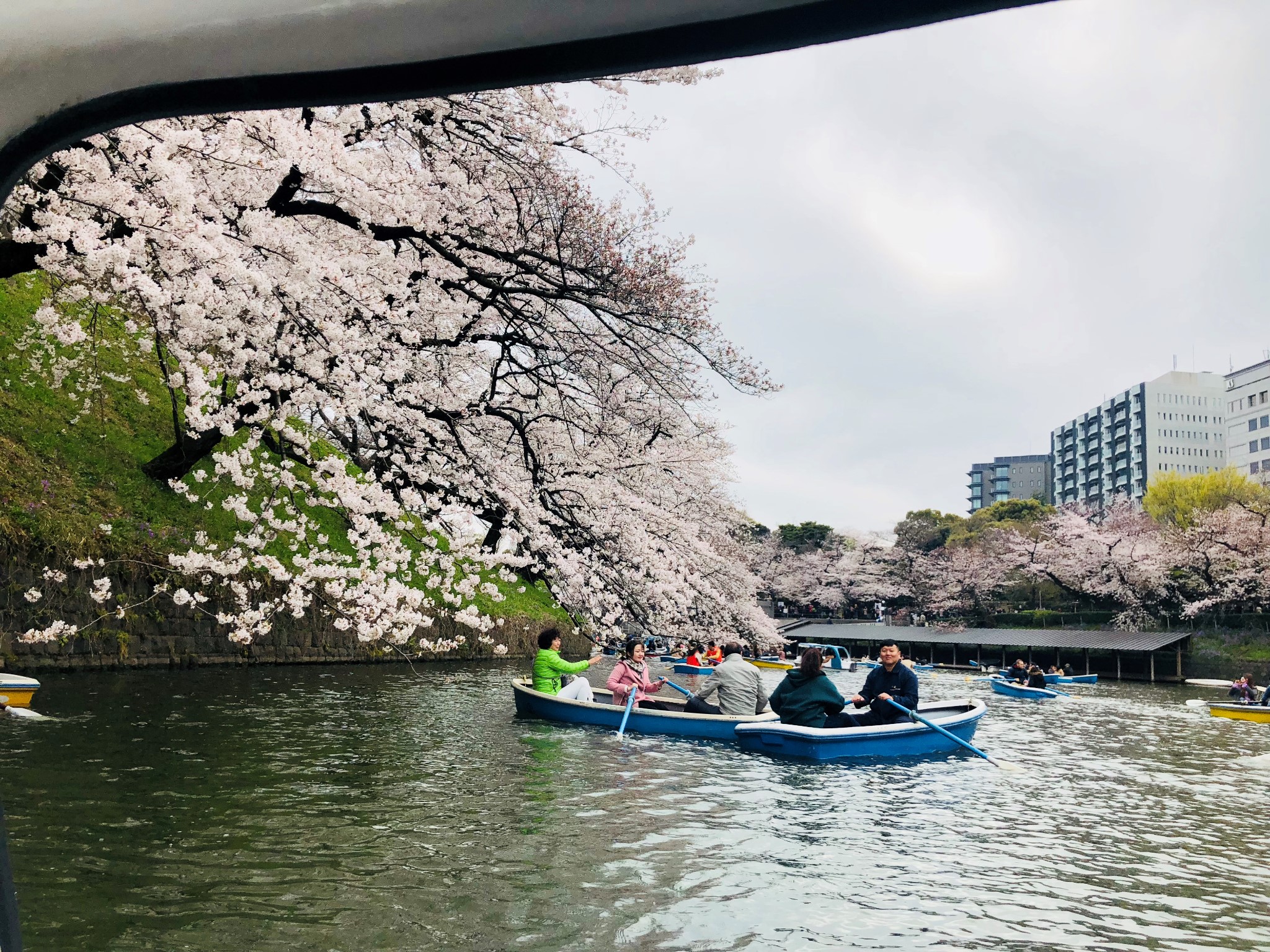 東京自助遊攻略