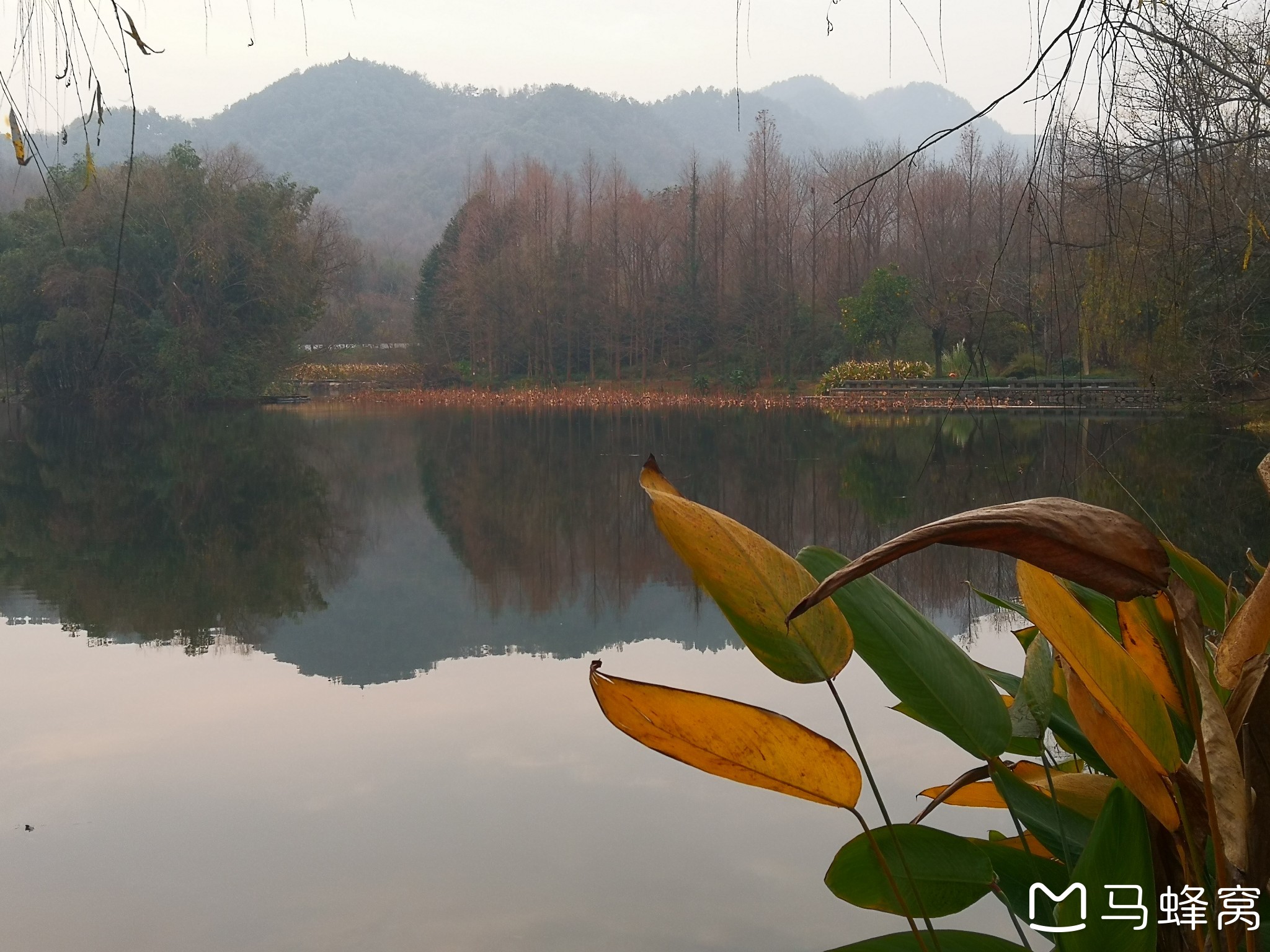 杭州龙井路边上的龙泓涧景区傍晚的景色