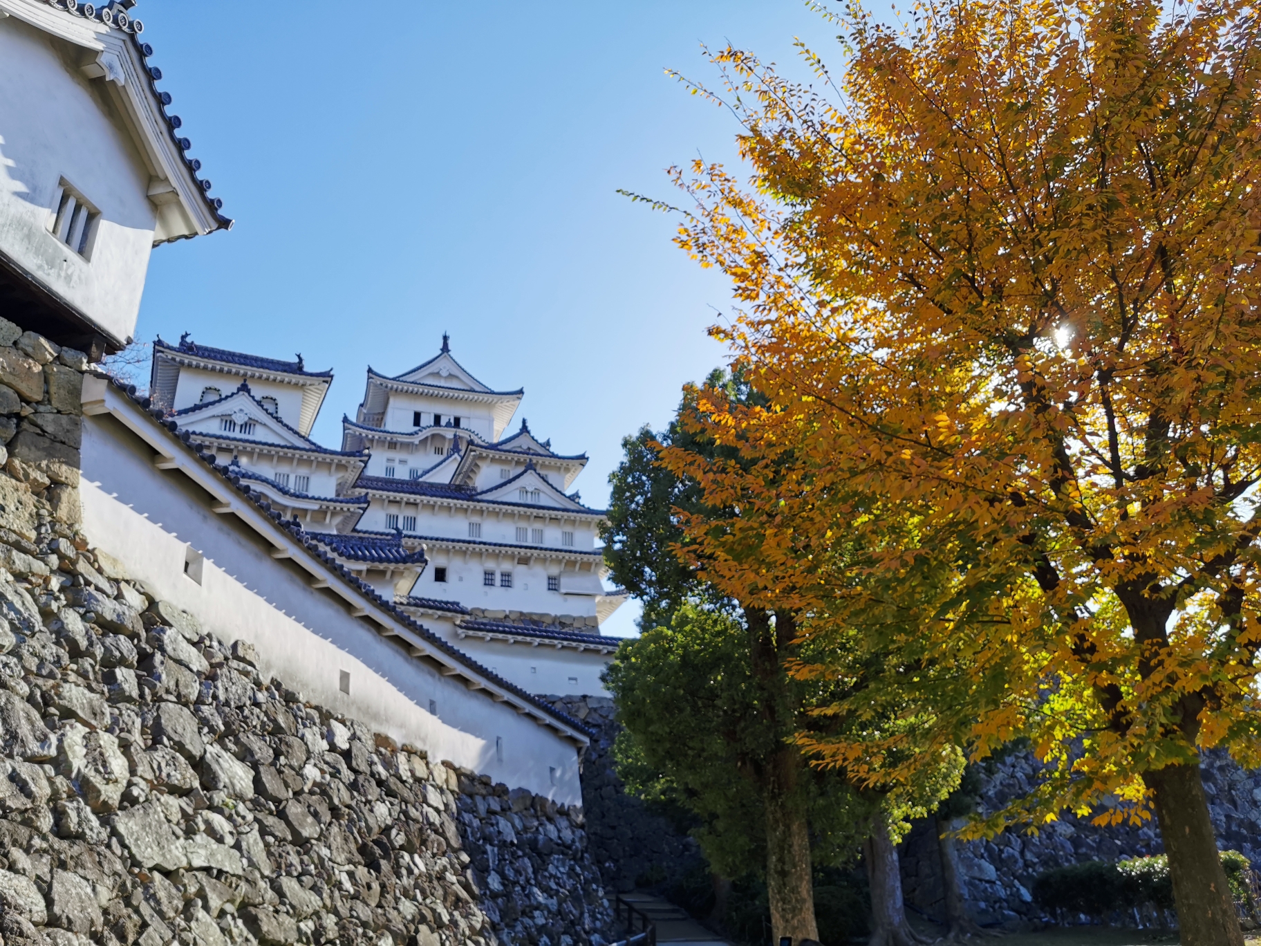 神戶自助遊攻略