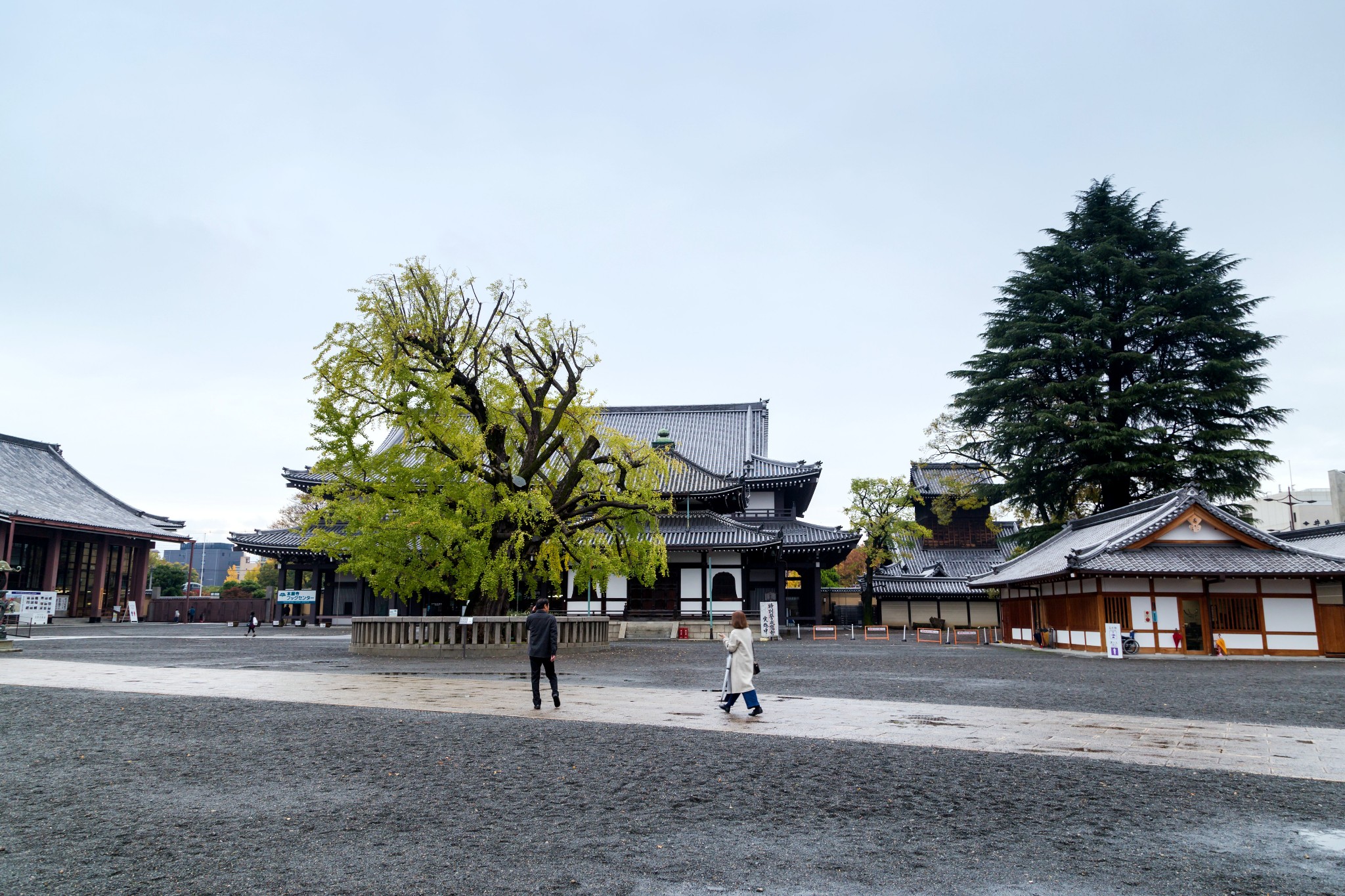 京都自助遊攻略