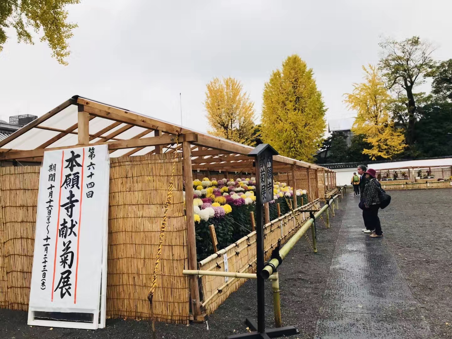 京都自助遊攻略