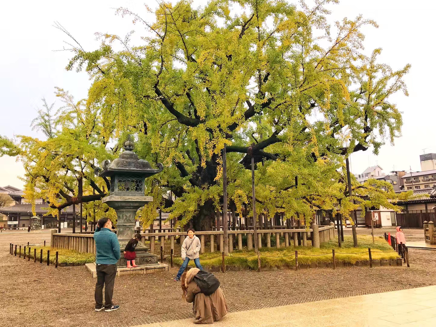 京都自助遊攻略