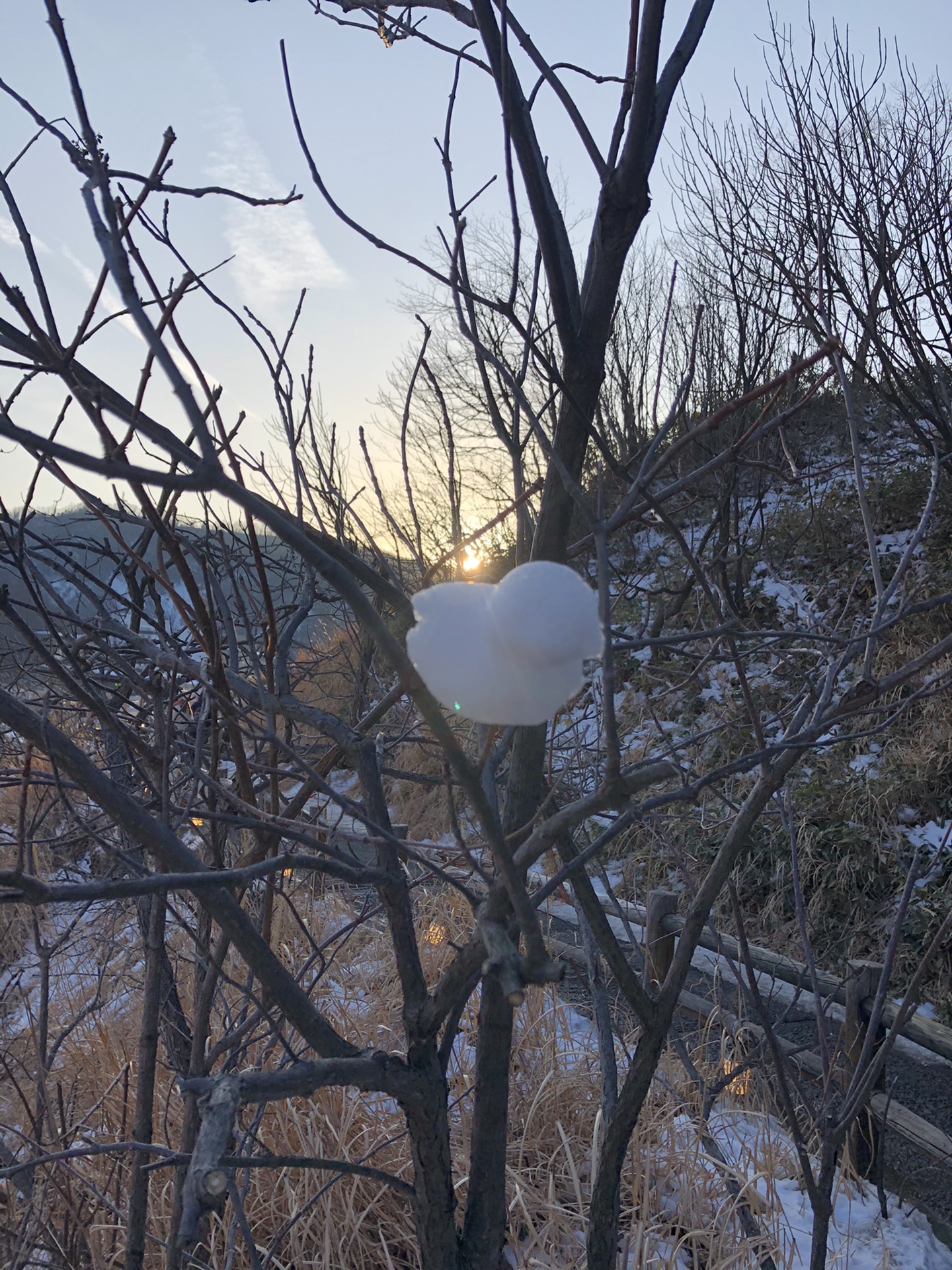 北海道自助遊攻略