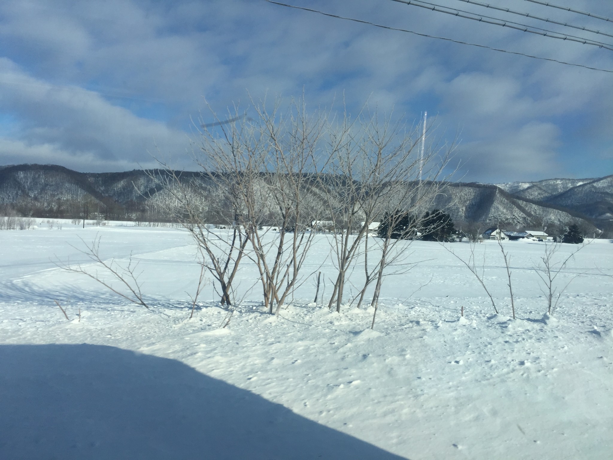 北海道自助遊攻略