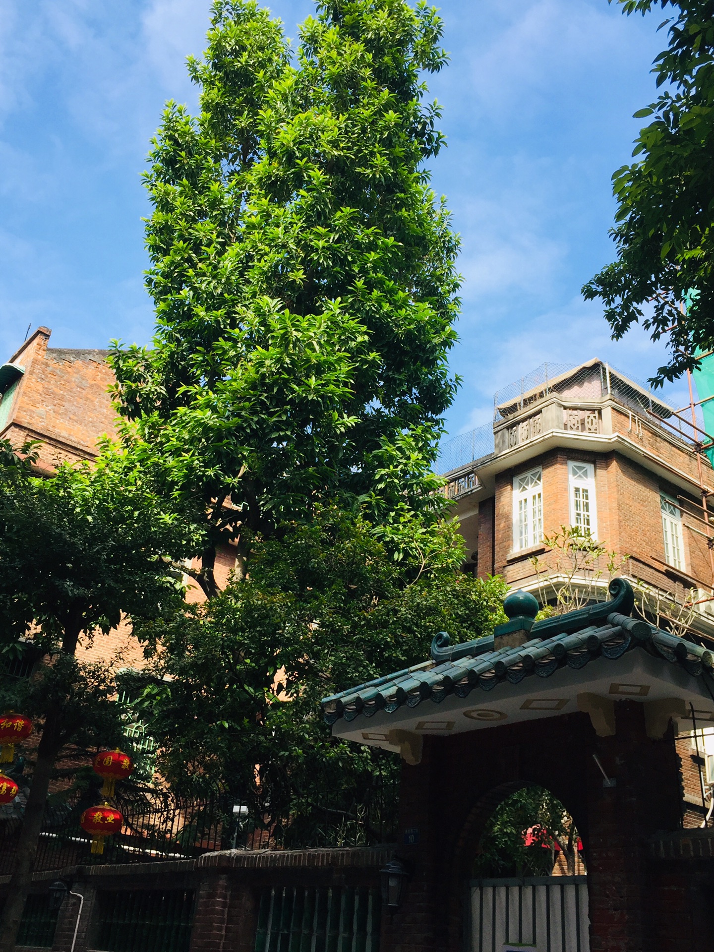 20191129广州惠吉西