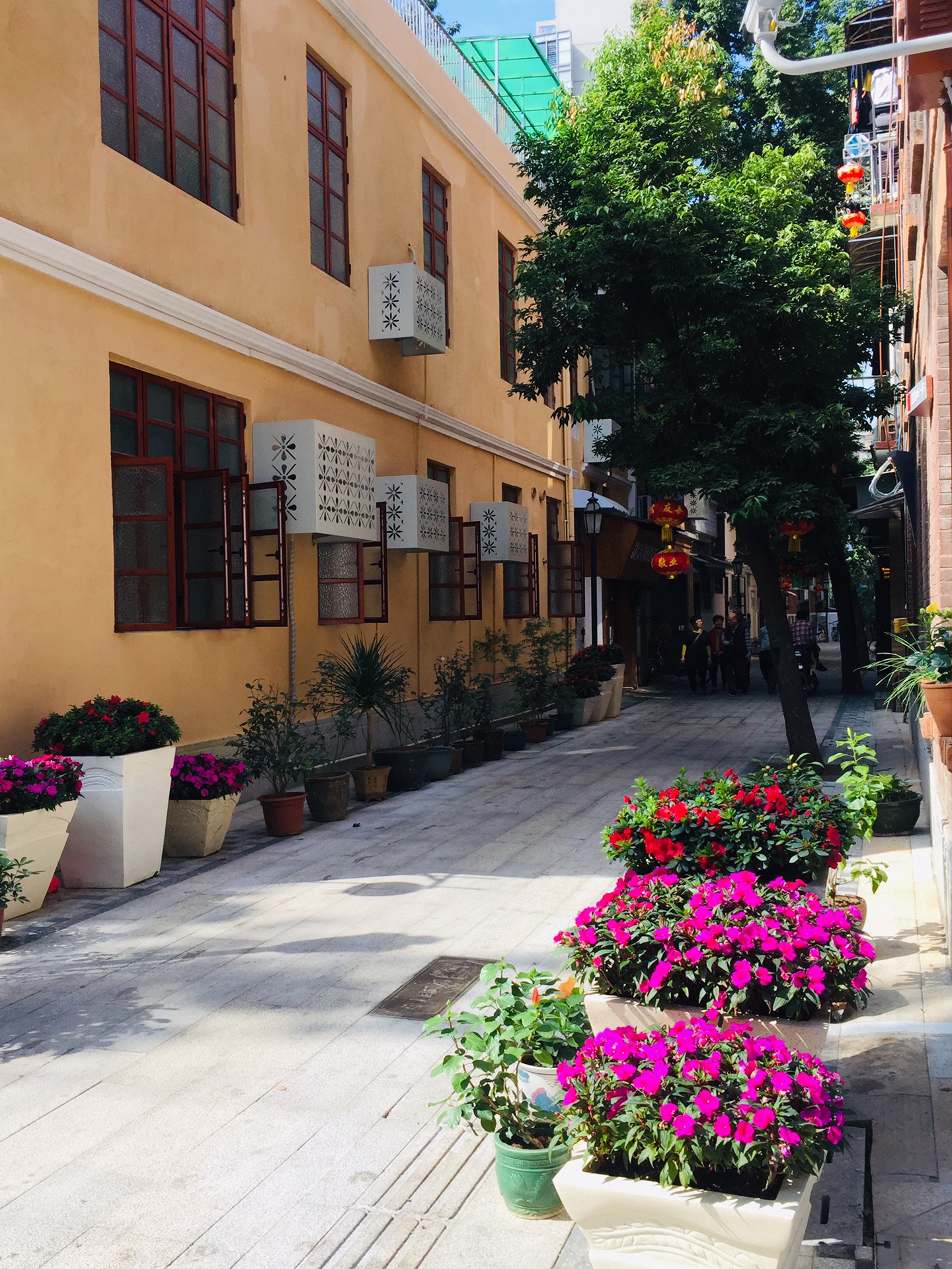 20191129广州惠吉西