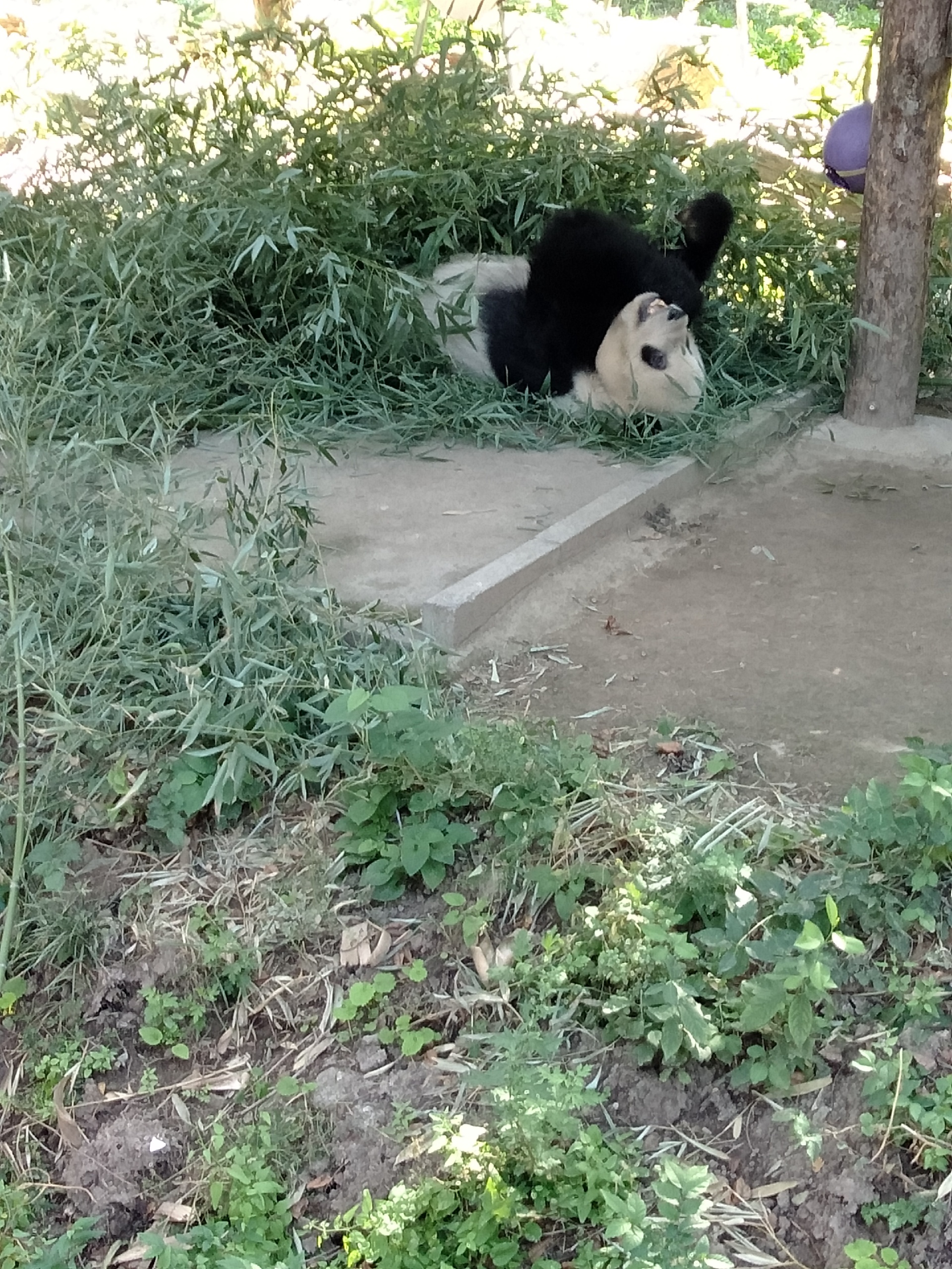 小型哺乳动物区