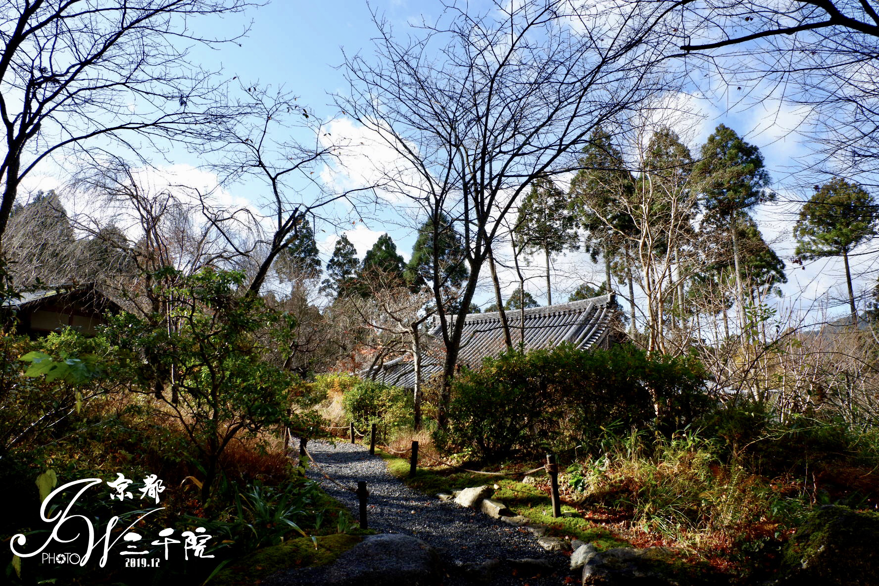 京都自助遊攻略