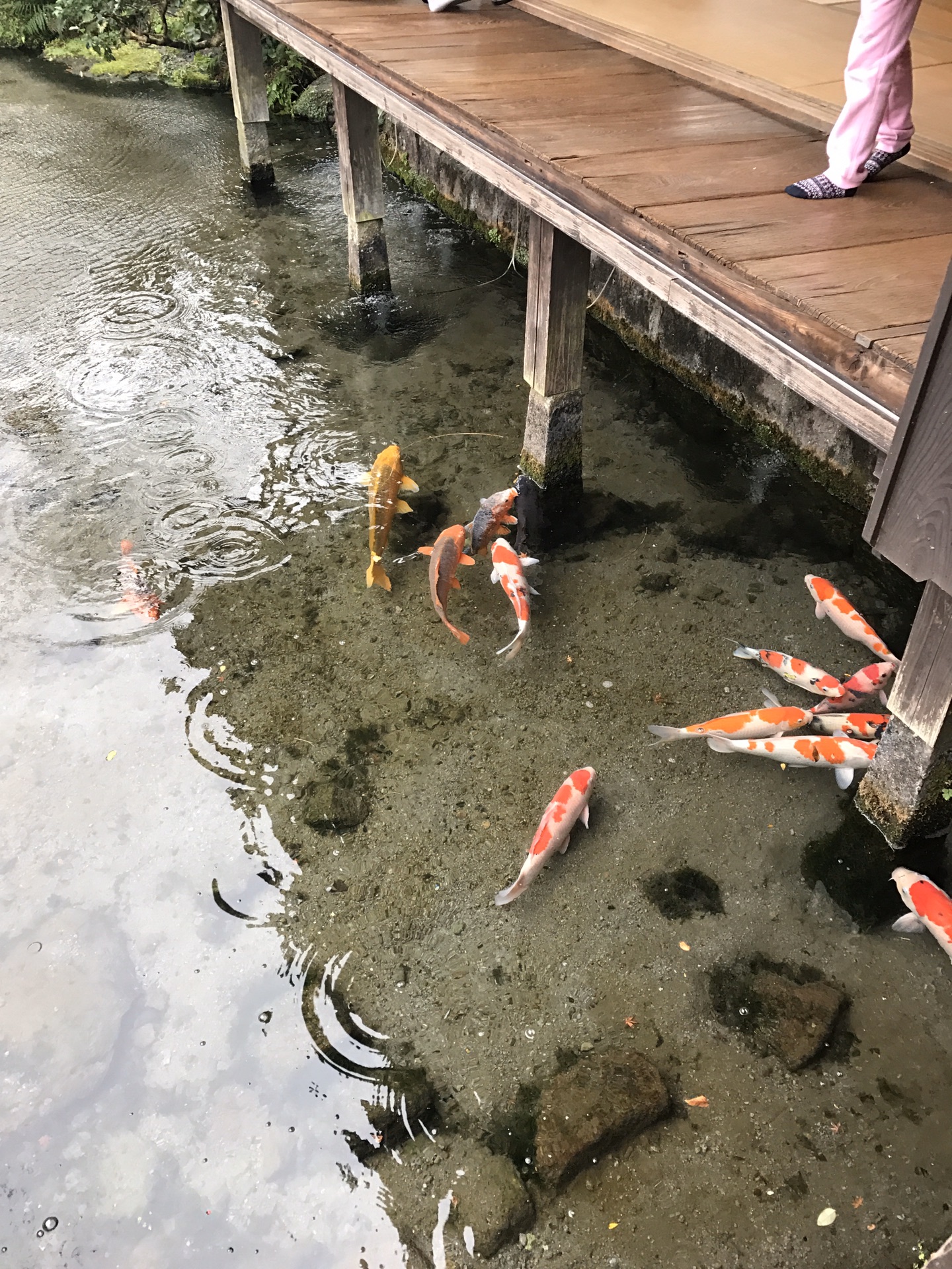 韓國自助遊攻略