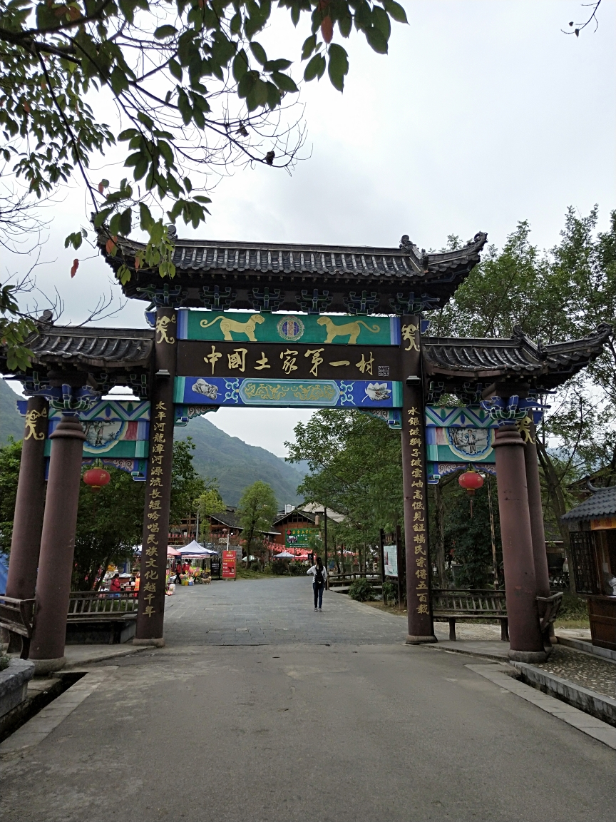 17 6/0 0 分享 4 收藏 序 d1 9日出发了 d2 10日梦幻的织金洞和坑人的