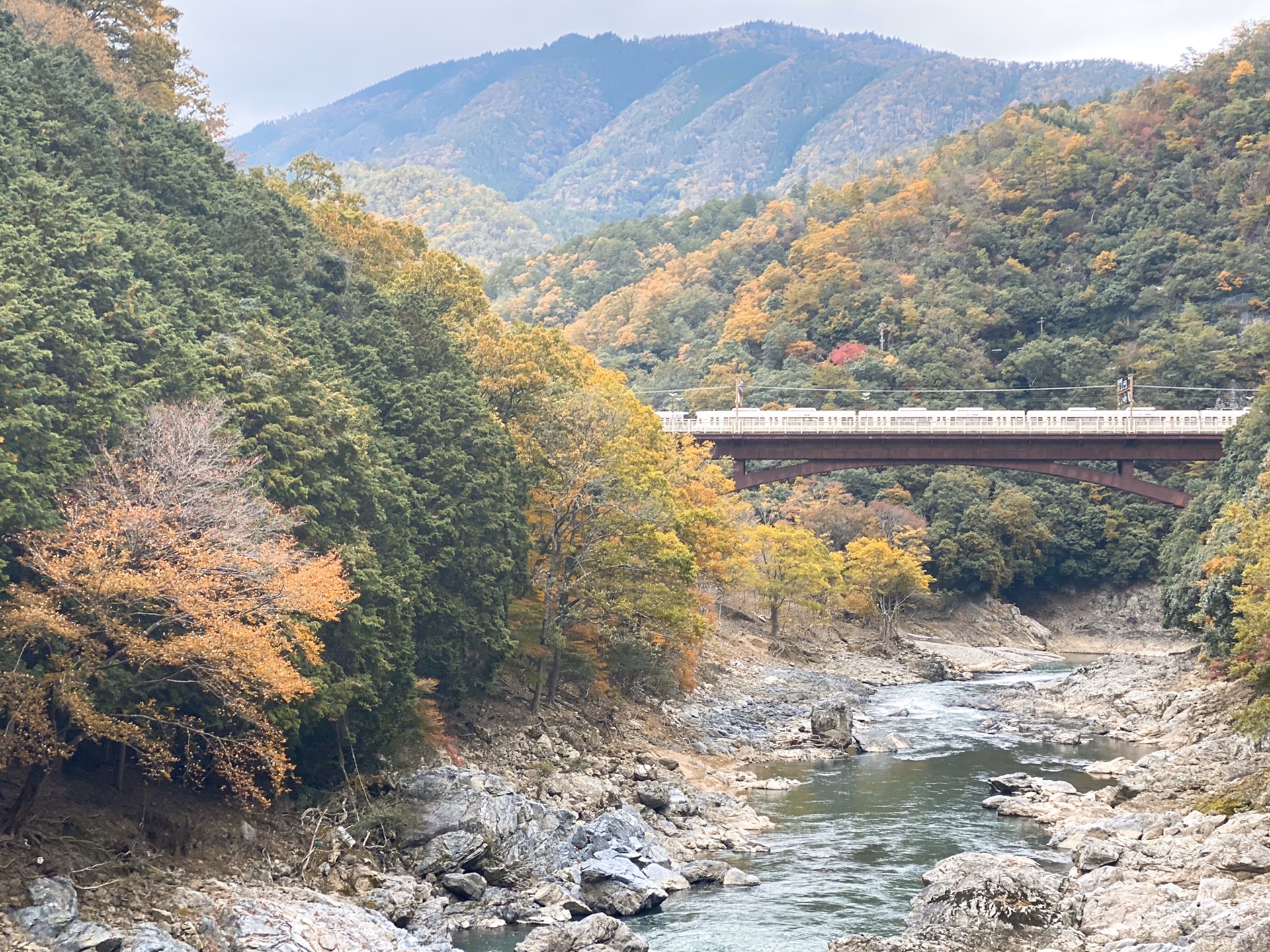 京都自助遊攻略