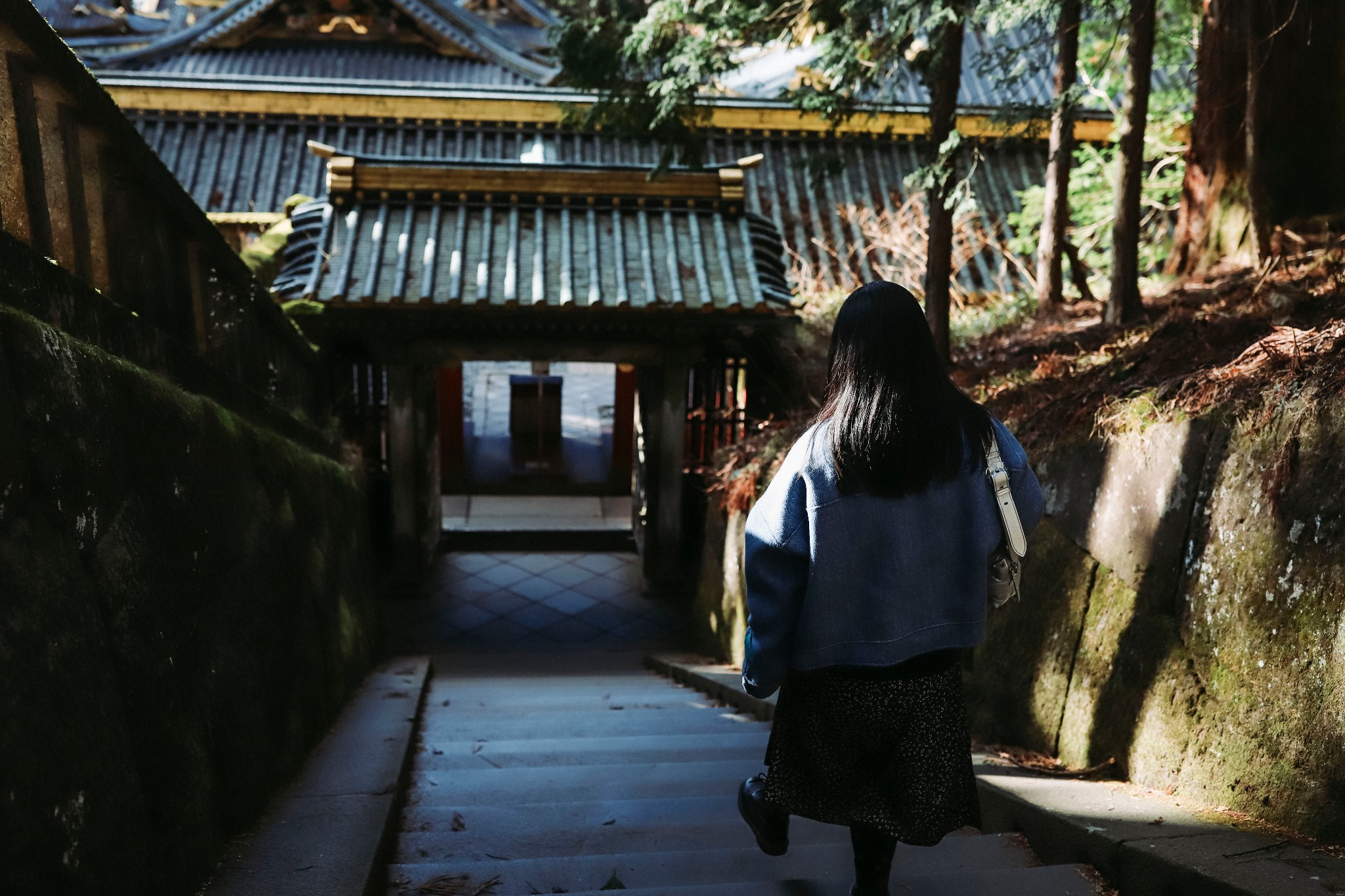 東京自助遊攻略