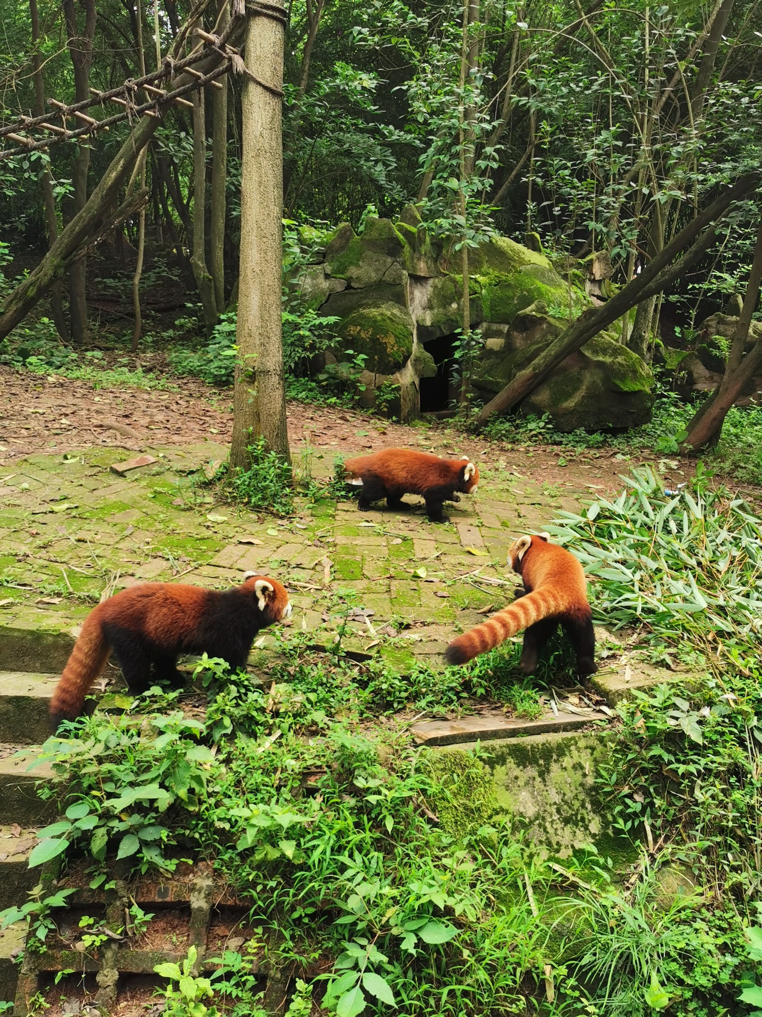 尼泊爾自助遊攻略