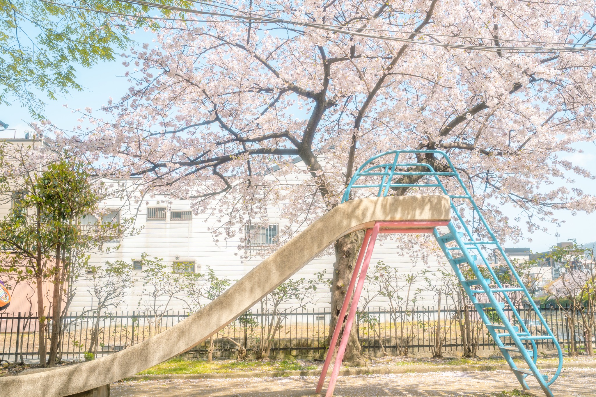 京都自助遊攻略