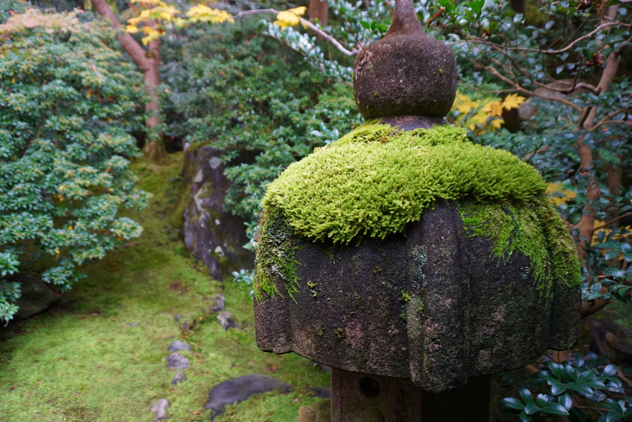 京都自助遊攻略