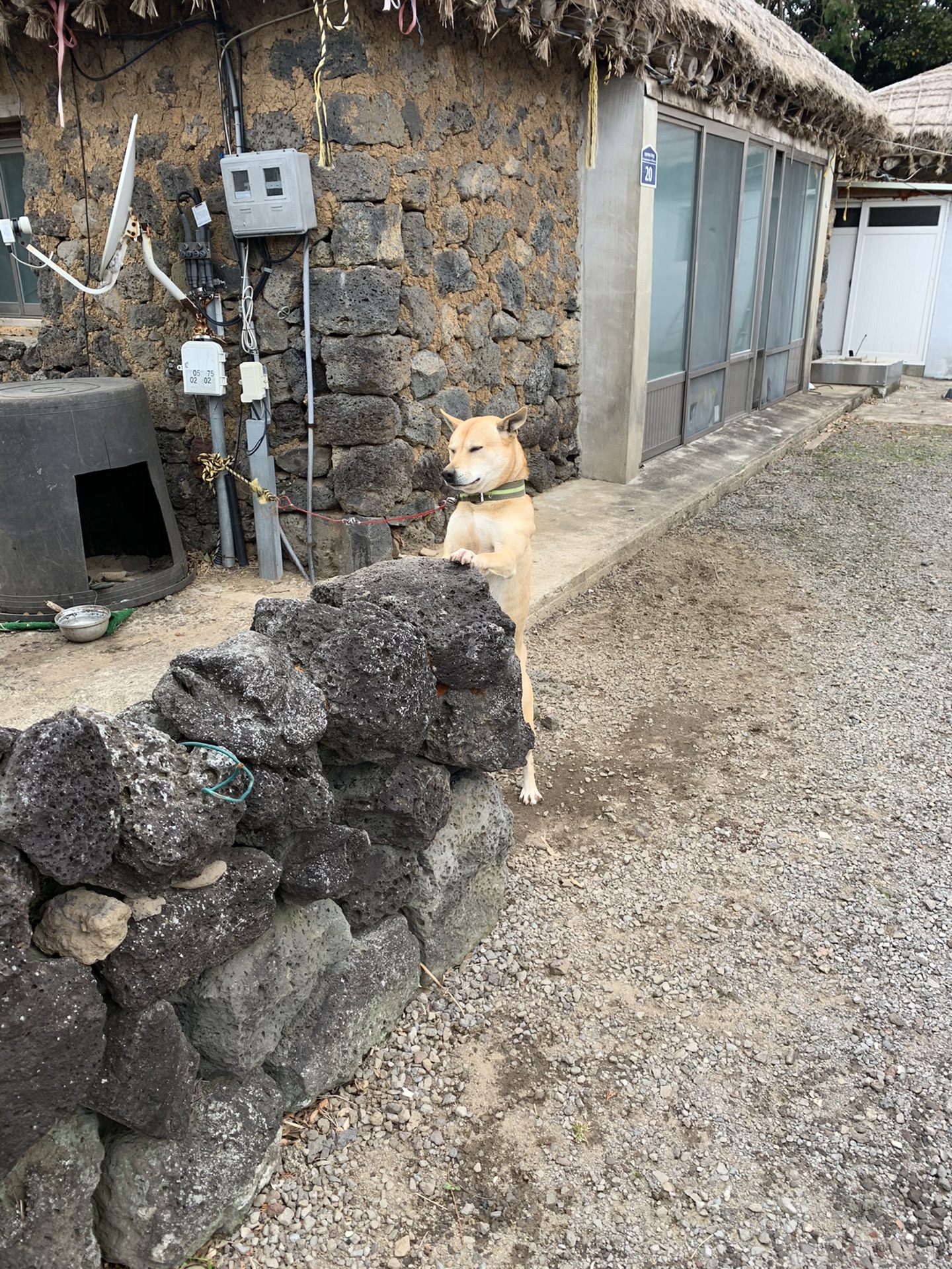 濟州島自助遊攻略