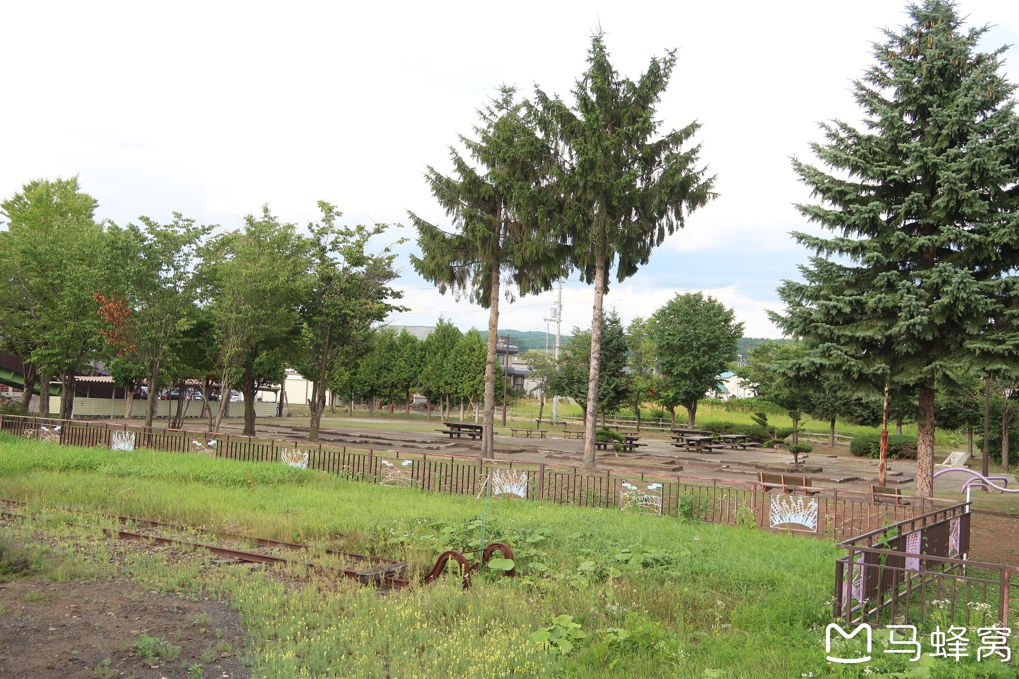 北海道自助遊攻略