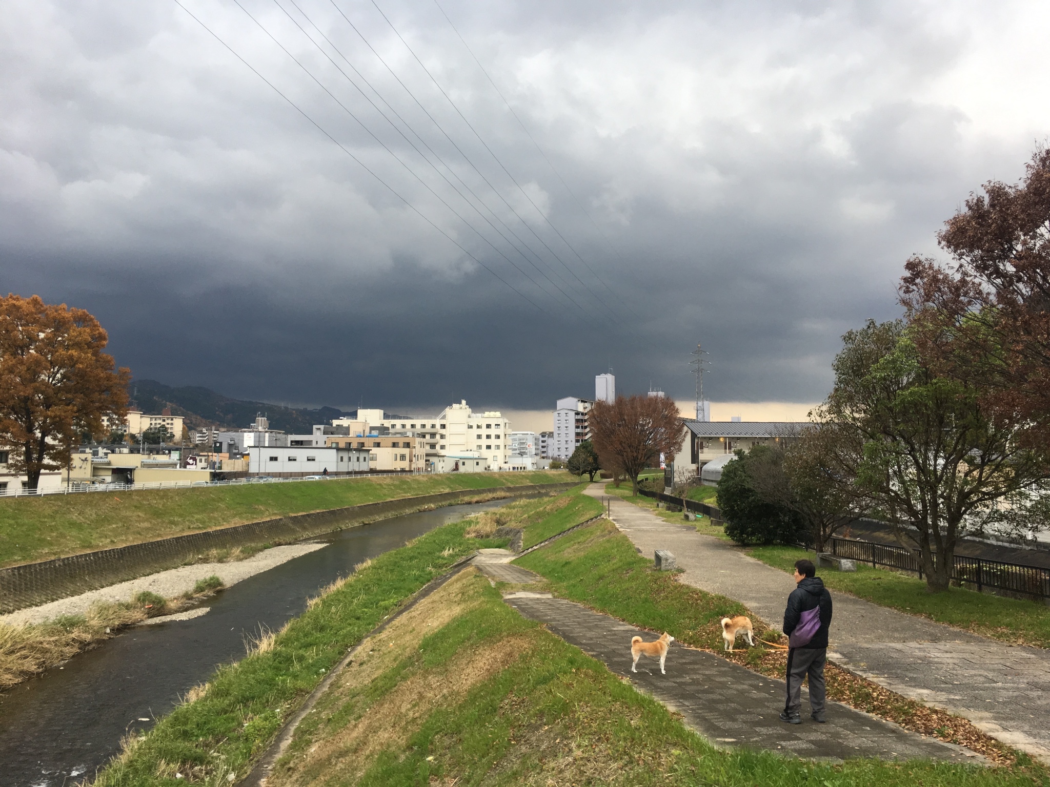 京都自助遊攻略