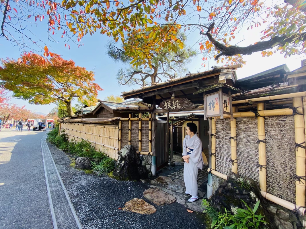 京都自助遊攻略