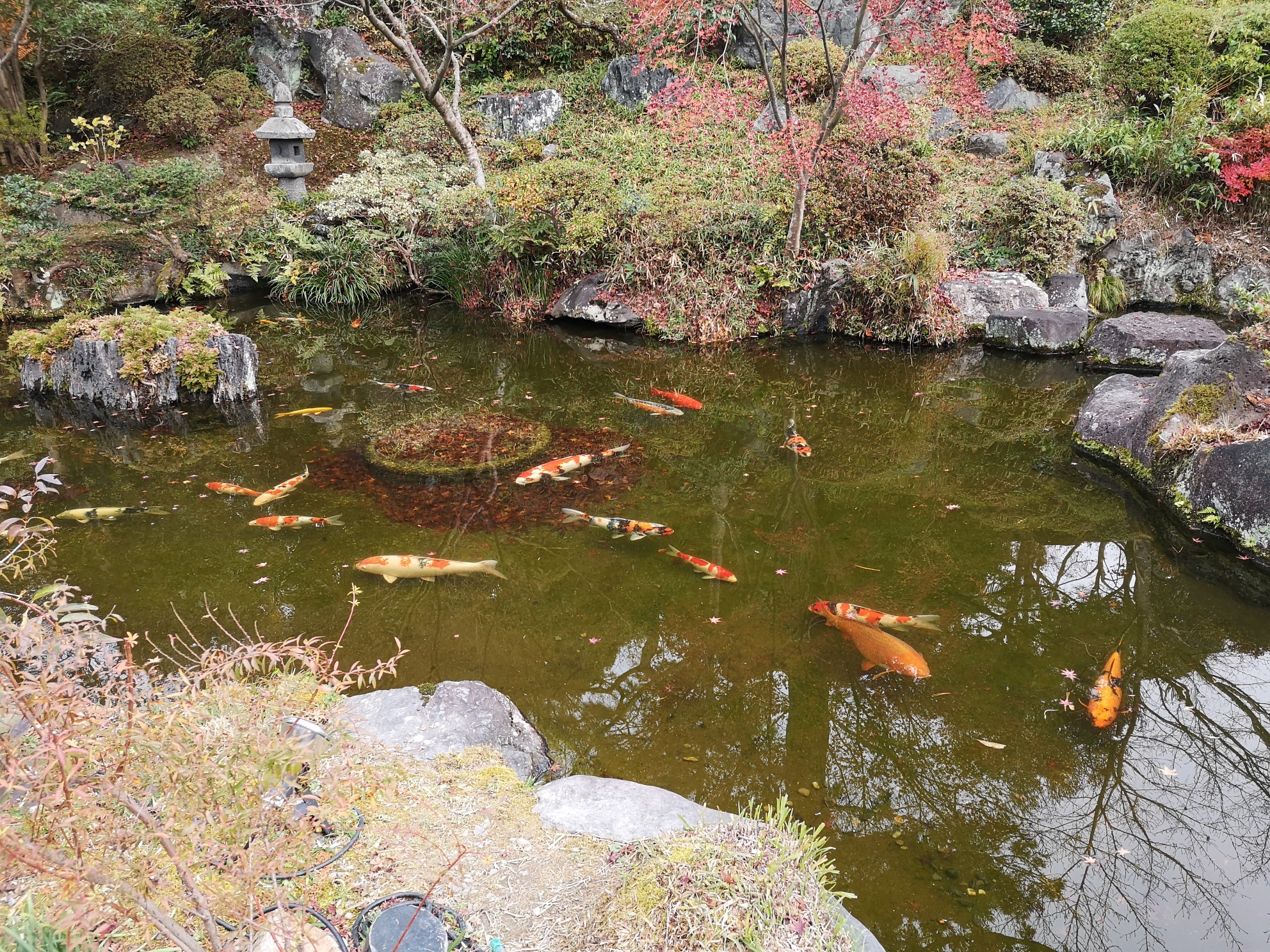 京都自助遊攻略