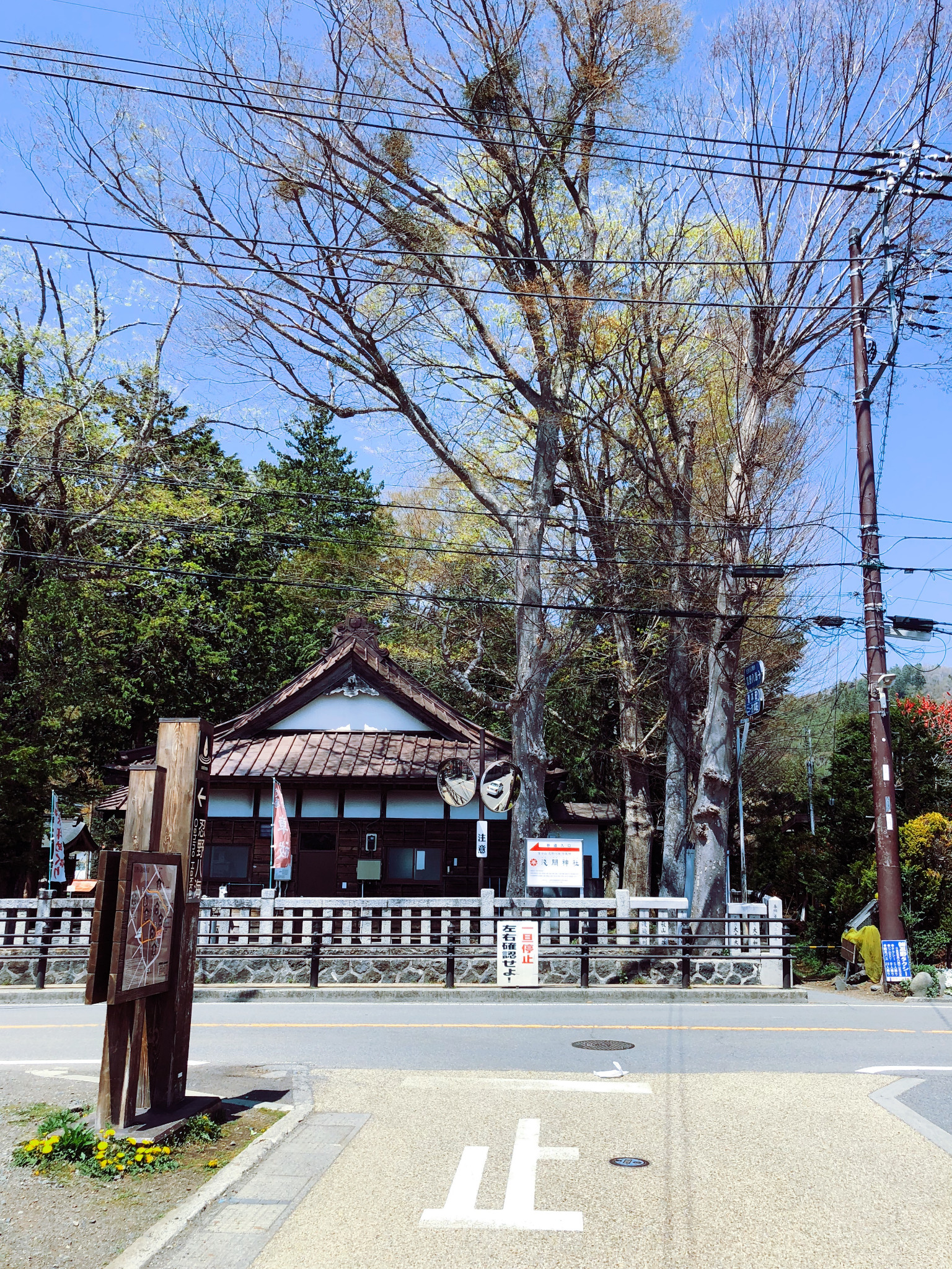 東京自助遊攻略